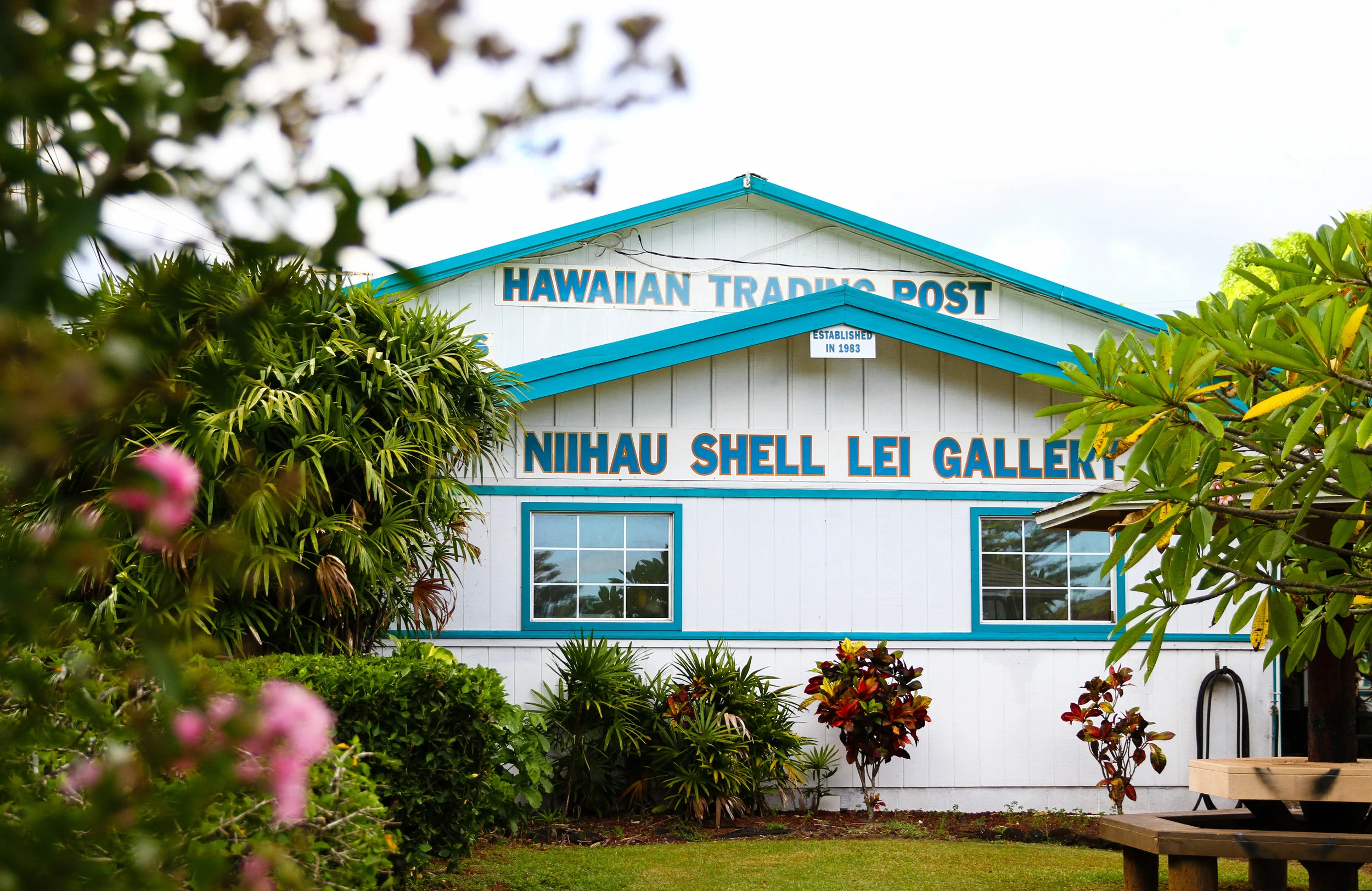 HTP (310 of 627).jpg