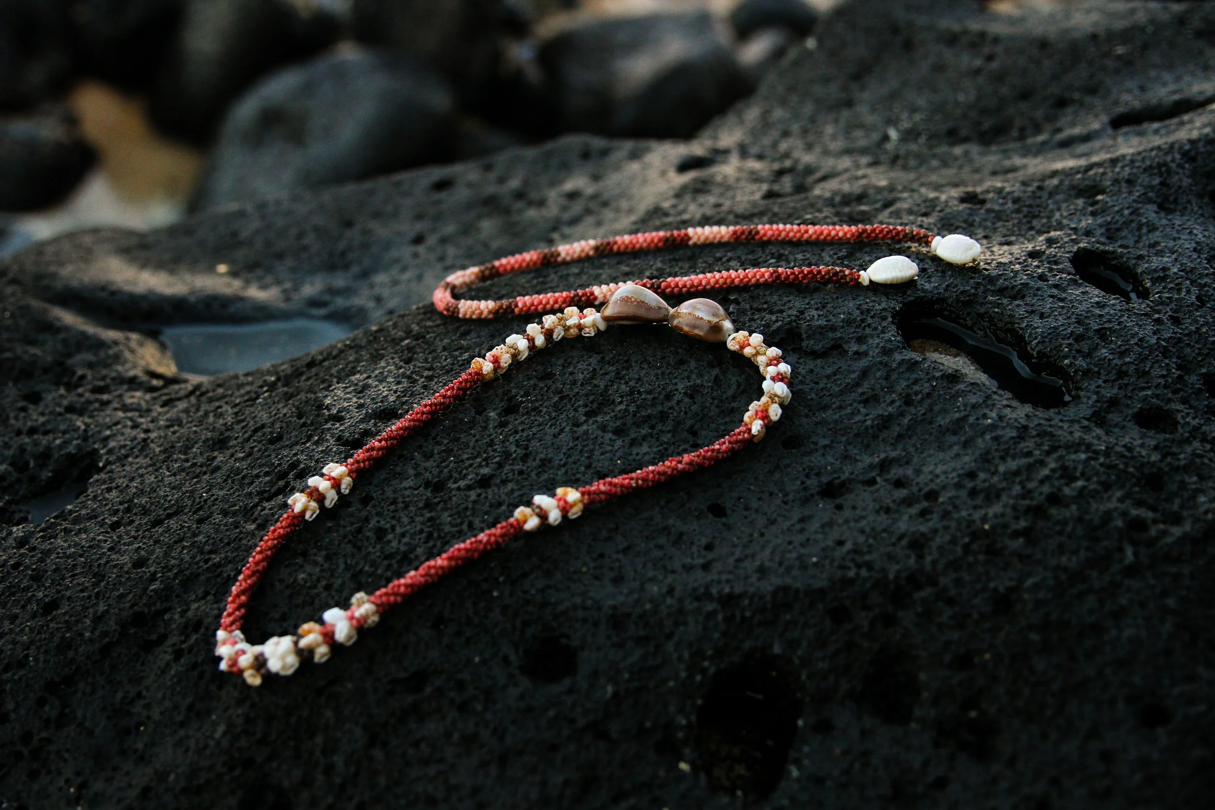 HTP (618 of 627).jpg