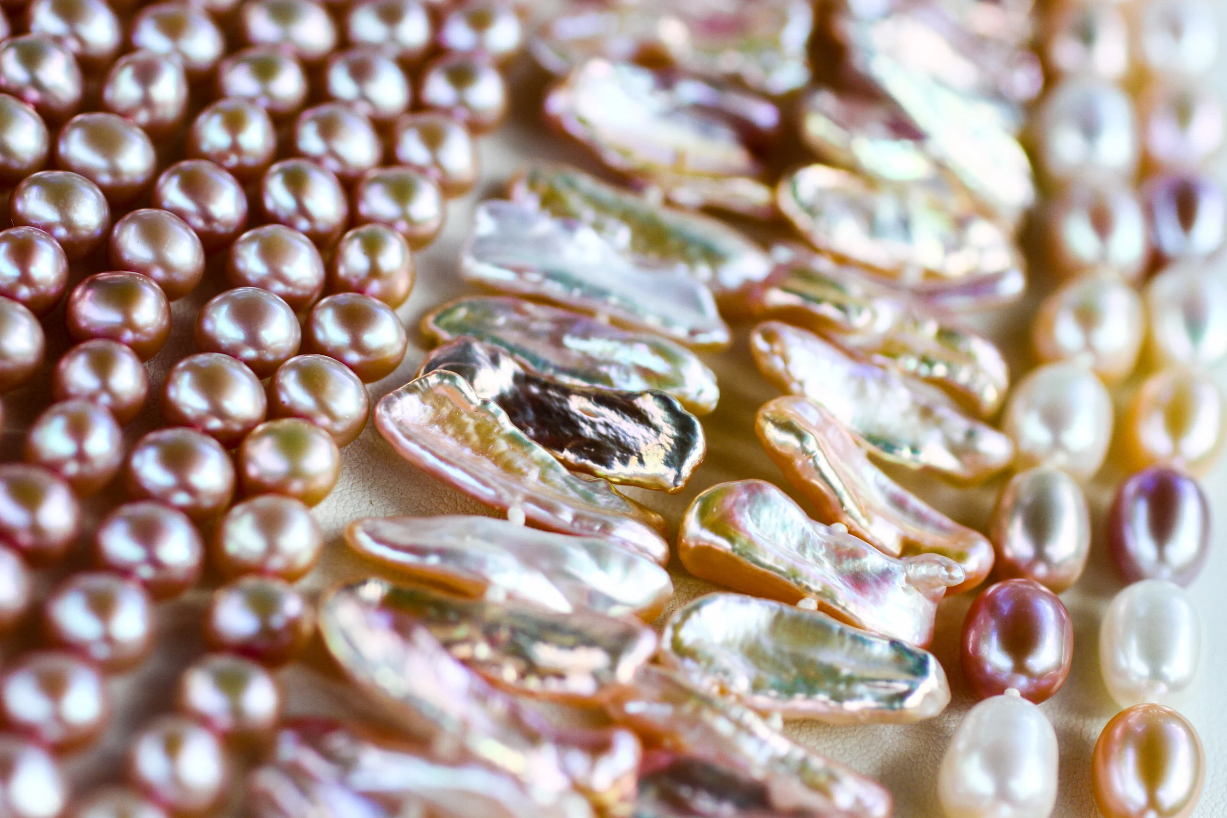 HTP (259 of 627).jpg