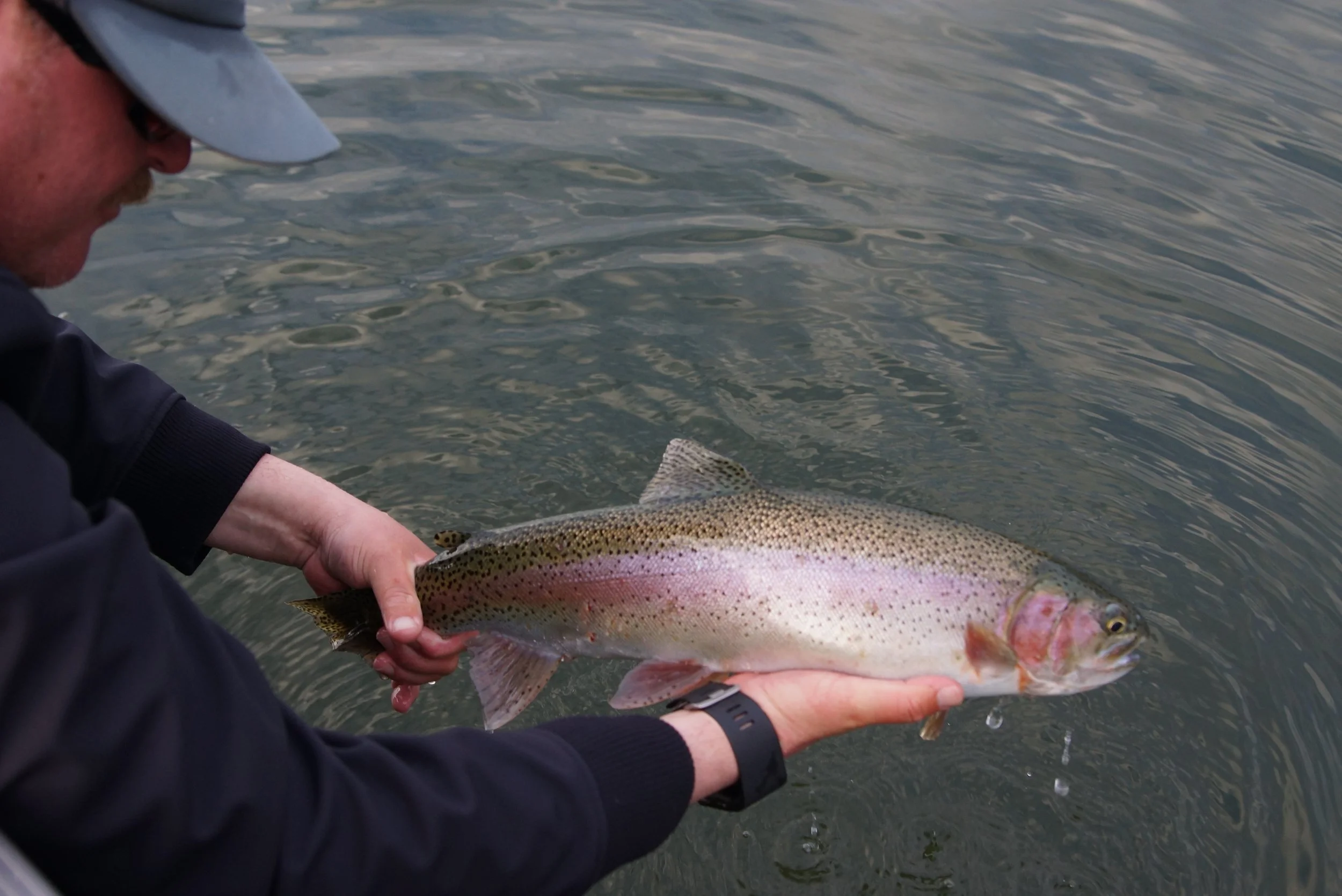 Northern California Fly Fishing Report | Lower Sacramento, Trinity ...