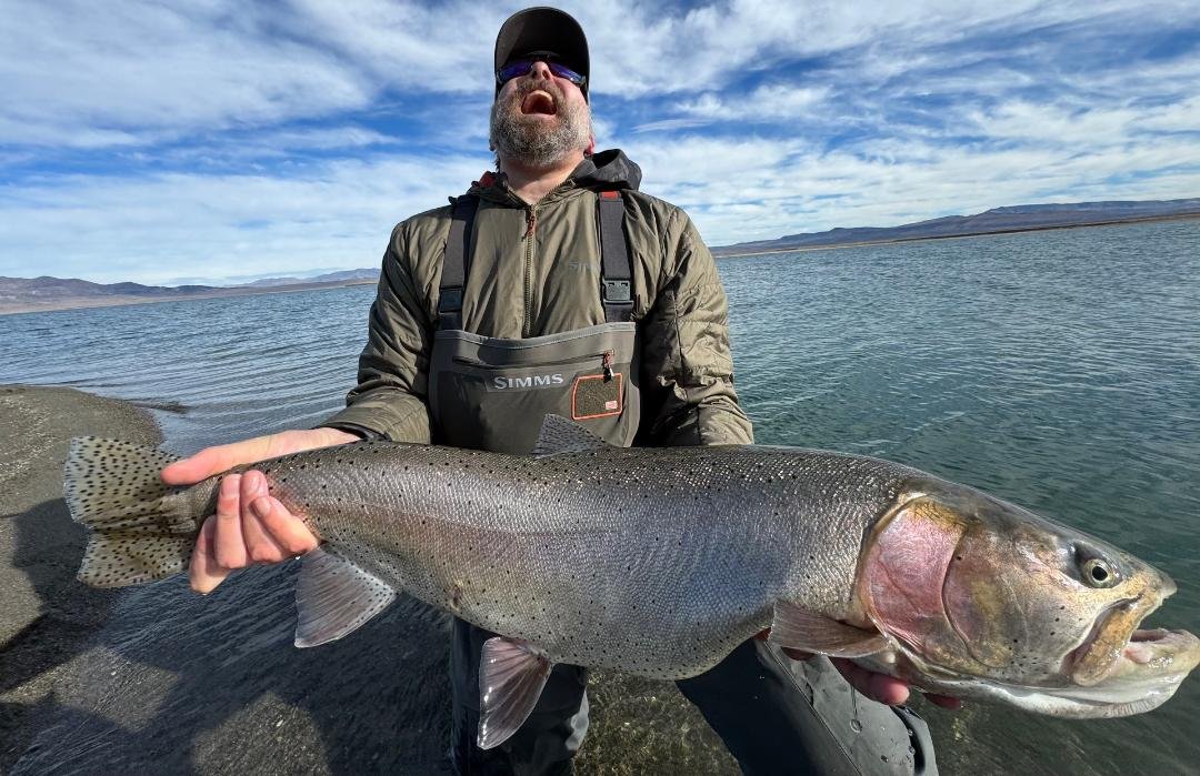 Northern California Fly Fishing Report | Lower Sacramento, Trinity ...