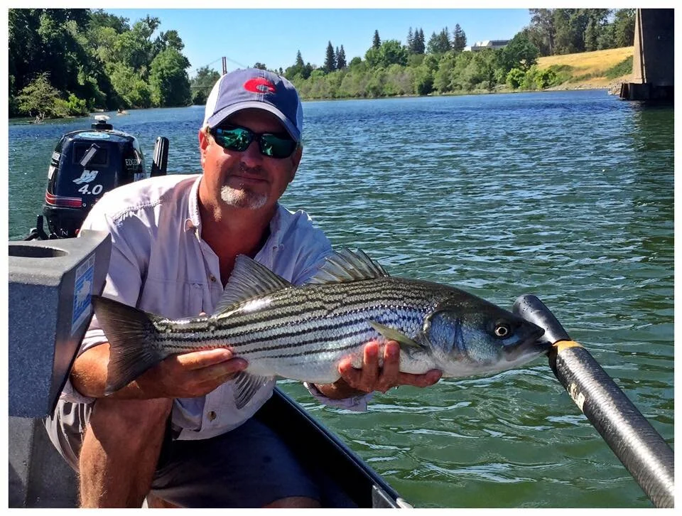 American River Fly Fishing Guide Trips near Sacramento Trout