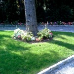 landscaping-16-150x150.jpg