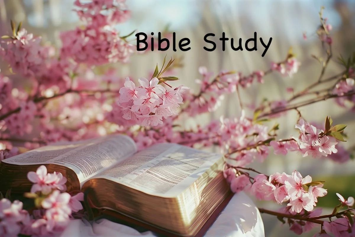 Bible Study