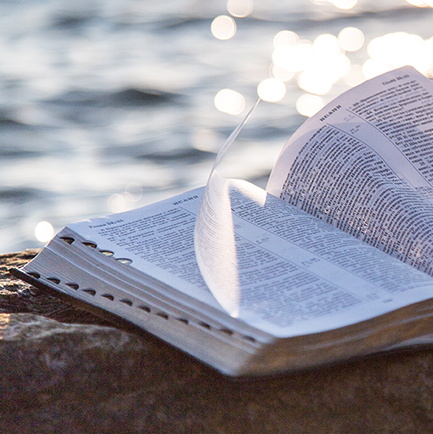 Bible Study