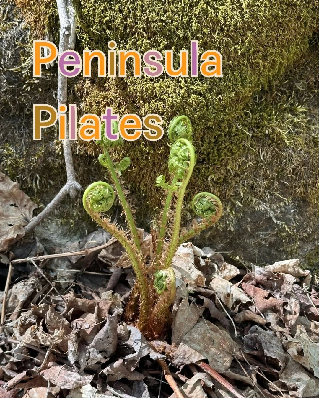 SAUGEEN BRUCE PENINSULA!!! WE ARE BACK IRL!!! 🌷 🐣 🌱 🌼 🐑 

EXPLORE CONTEMPORARY PILATES TO THAW THE PHYSICAL BODY AND ENLIVEN THE ENERGETIC BODY

EXPECT A PLAYFUL MUSIC-DRIVEN CLASS TO WELCOME SPRING AND BUILD ENOUGH STRENGTH TO BREAK THROUGH THE