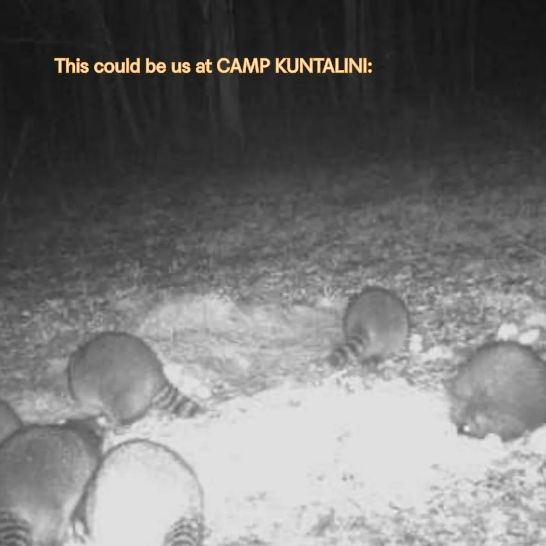 COUNTDOWN IS ON! COMMENT &lsquo;CAMP&rsquo; IF YOU KNOW WHAT&rsquo;s GOOD! 

s/o TO @spypointcanada FOR CAPTURING OUR INTERSPECIES HANG OUTS ON THE LAND / RETREAT CO-FACILITATORS