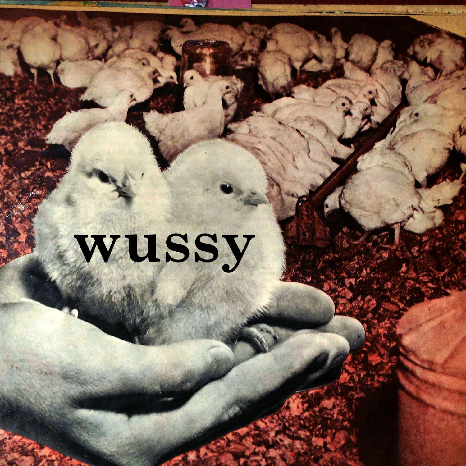 Wussy - Wussy