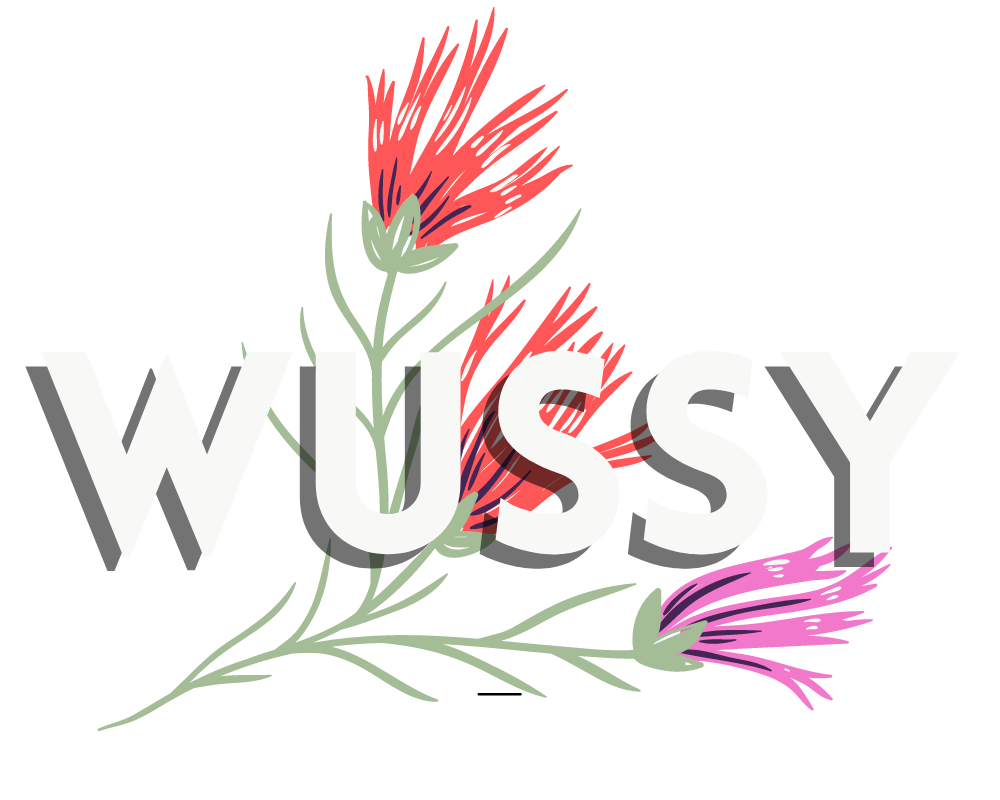 wussy (the band)