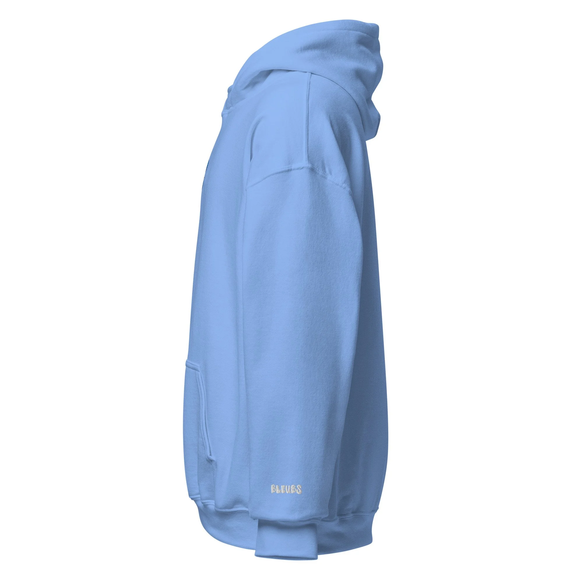 unisex-heavy-blend-hoodie-carolina-blue-left-68aa0382a69df.jpg