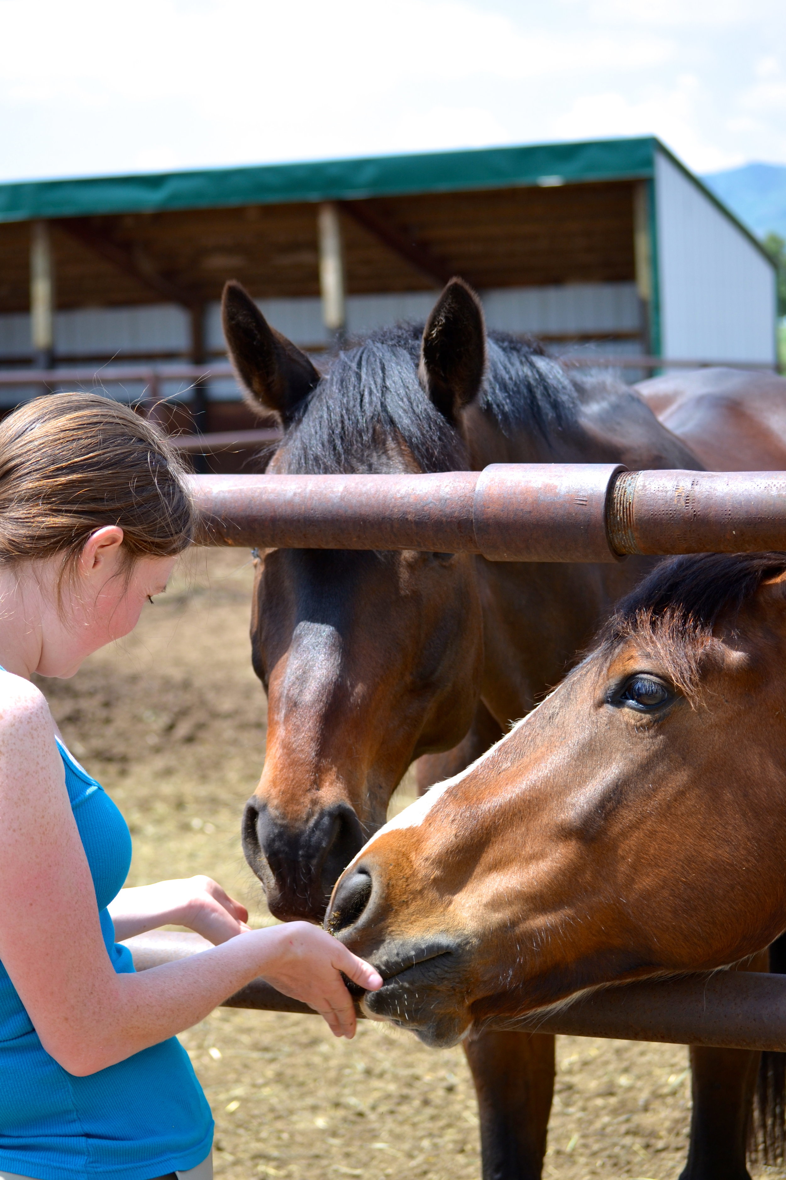 Girl-petting-horses.jpg