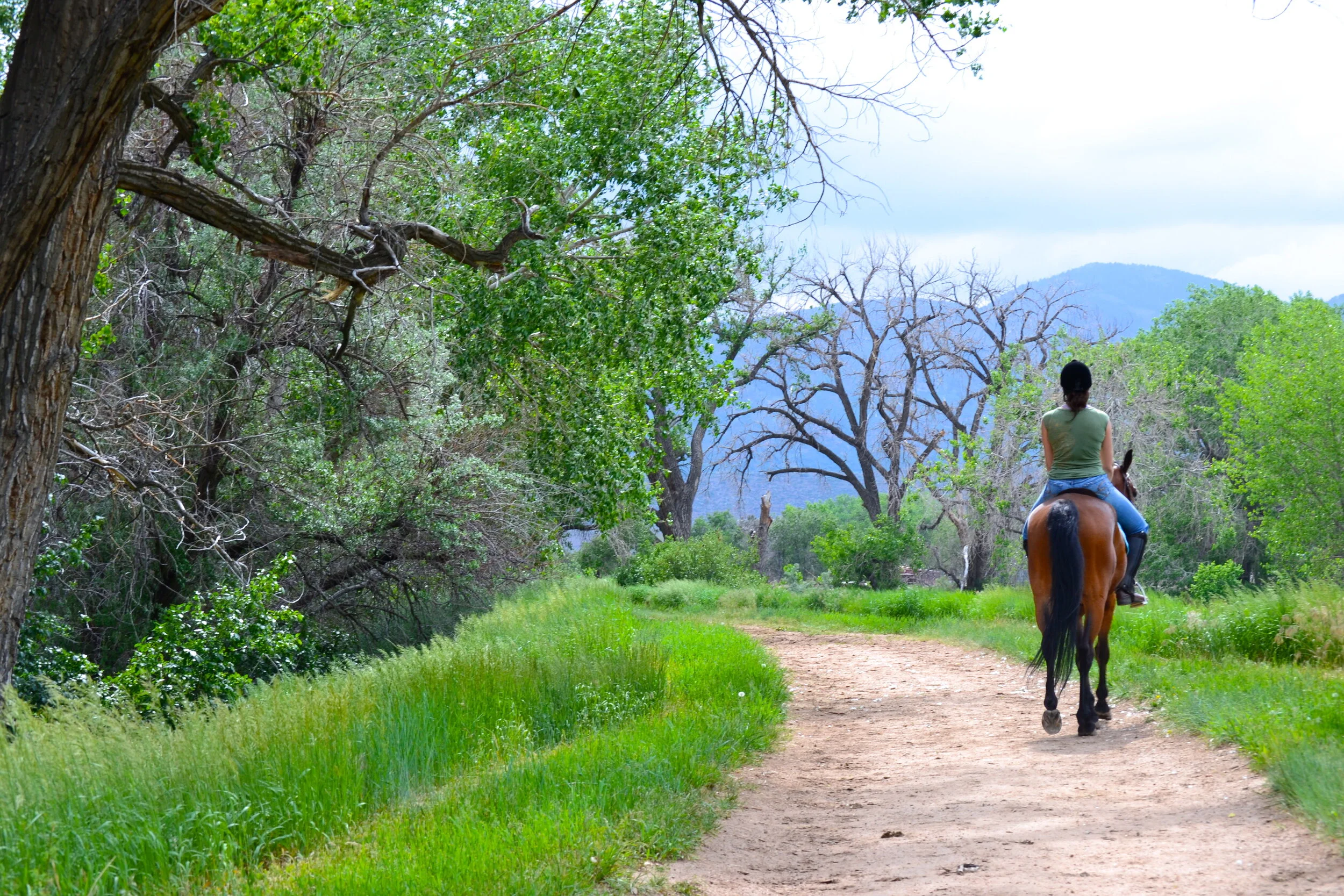Trail-riding.jpg
