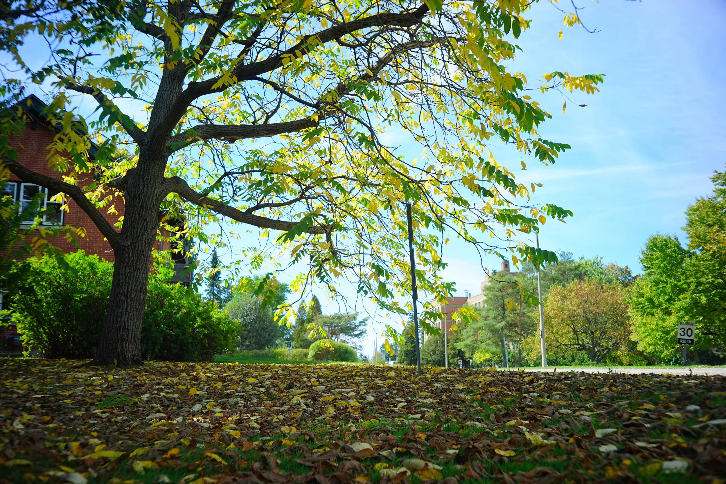 KAI01959 compress l2.JPG