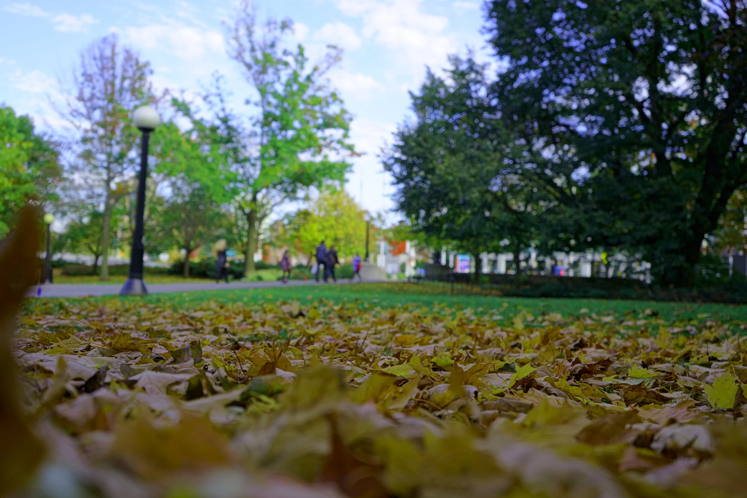 KAI09123 Brightness.JPG