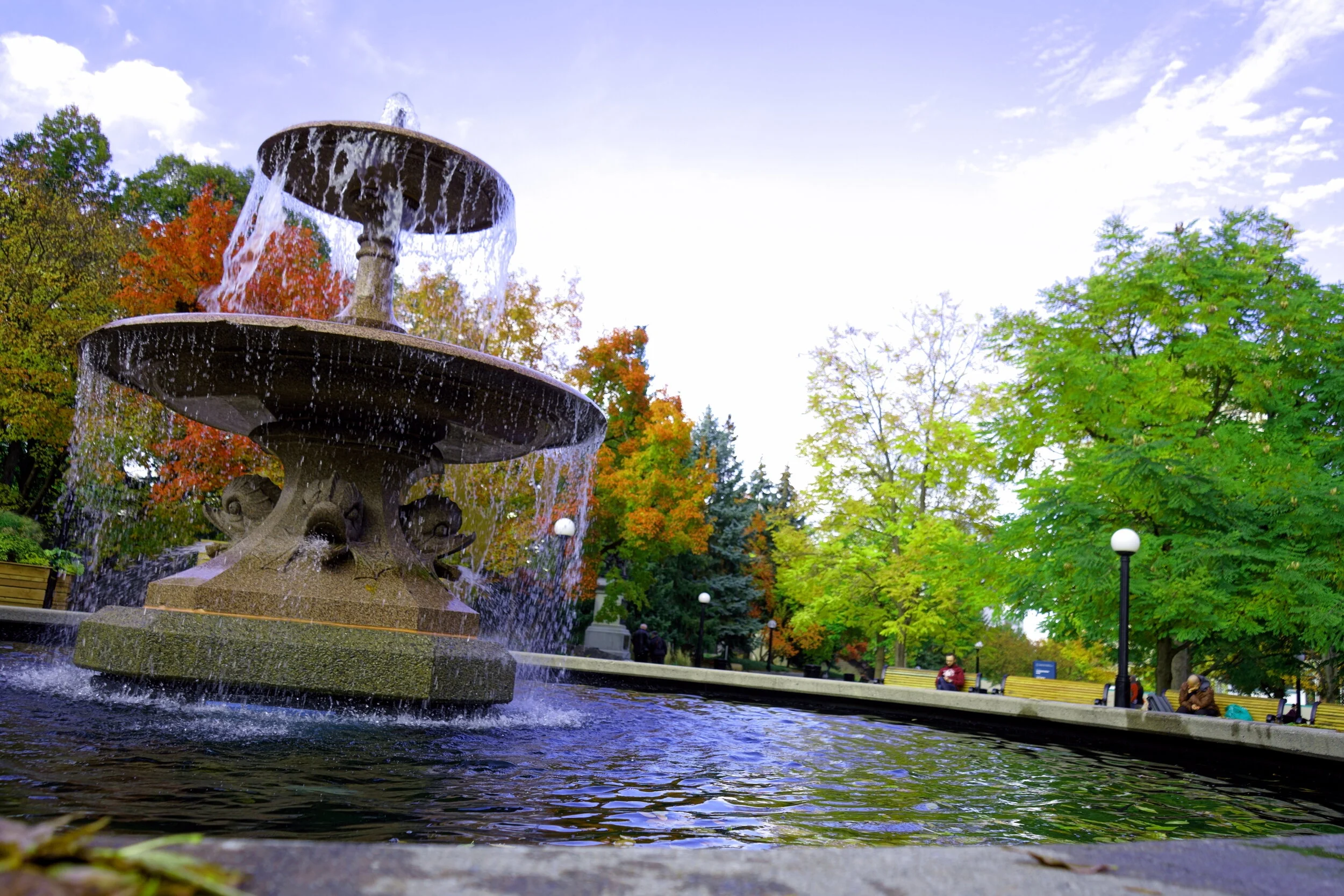 KAI09163 Brightness.JPG