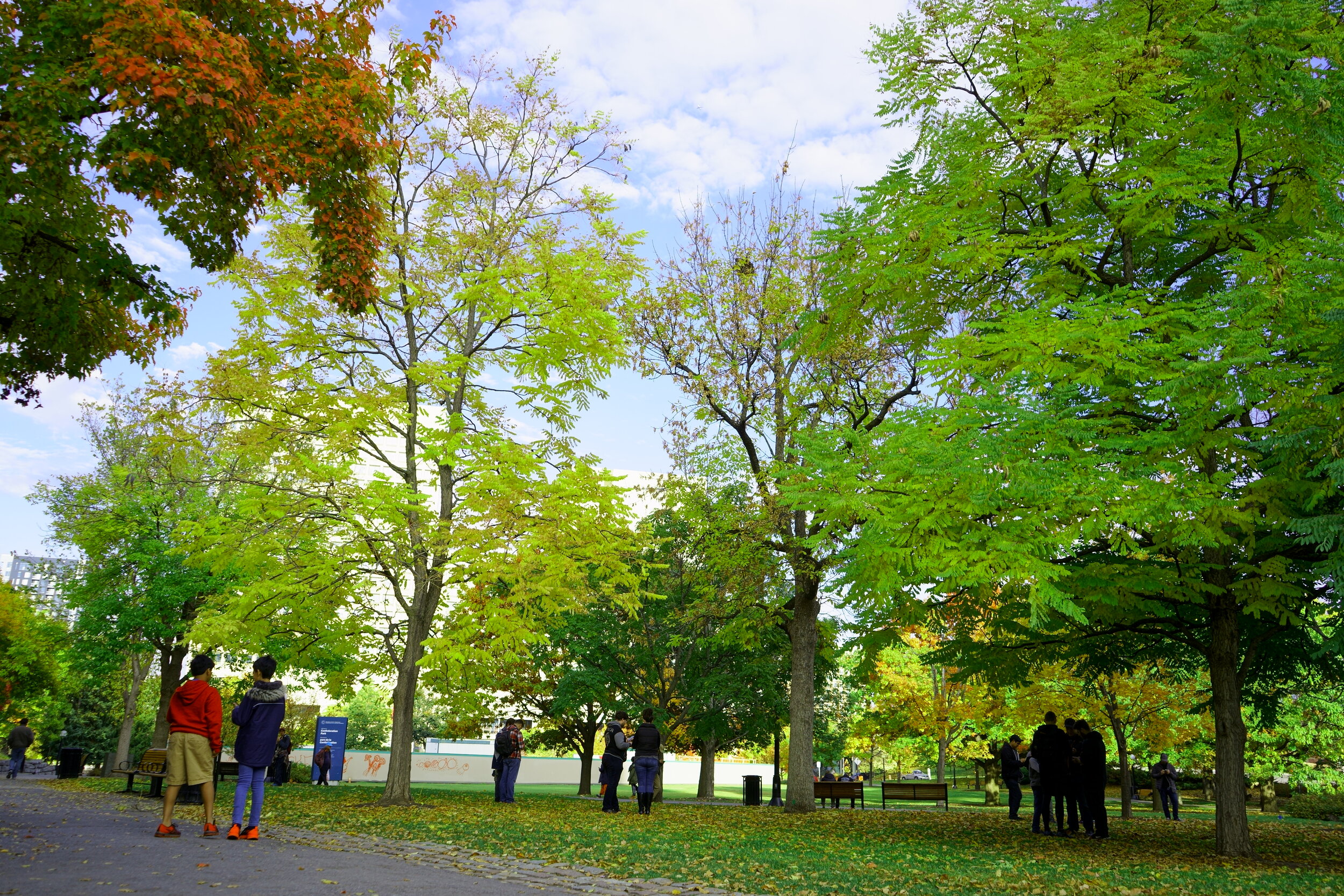 KAI09264 Brightness.JPG