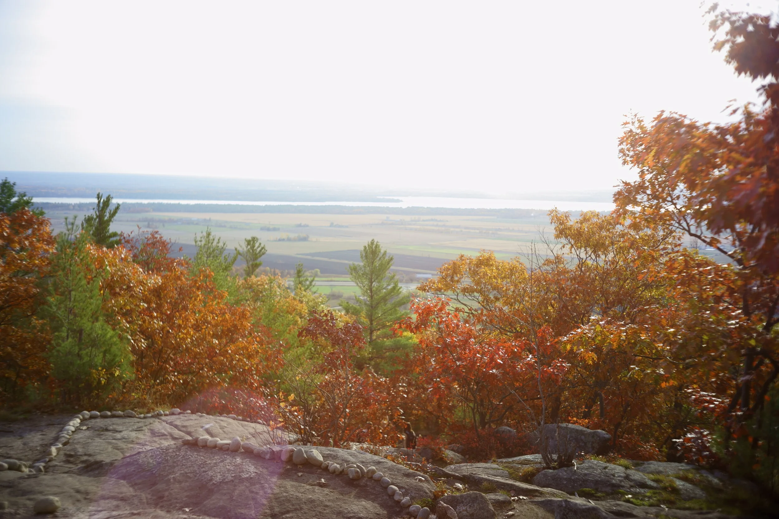 KAI00082 edited brightness.JPG