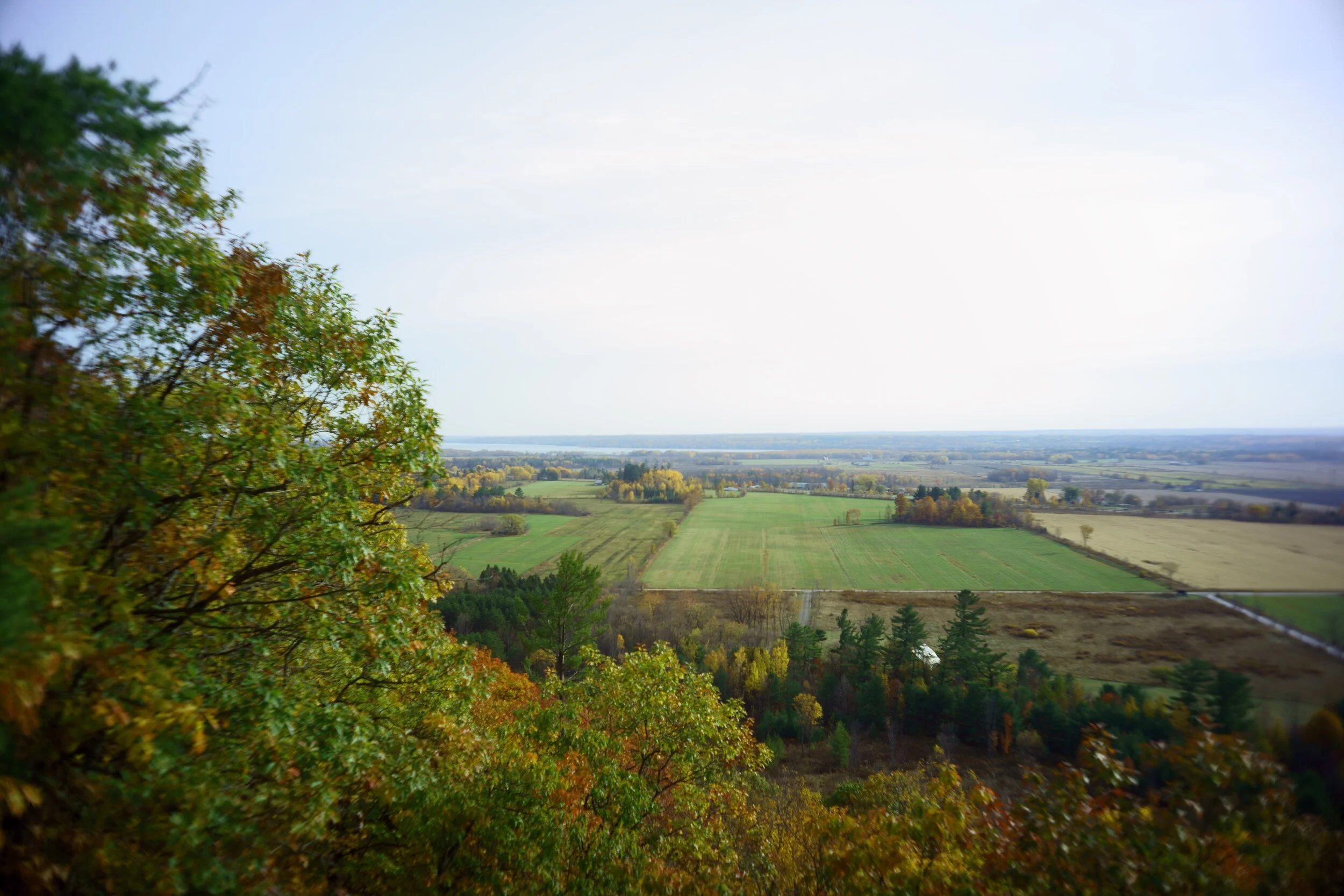 KAI09882 Edited 3.JPG