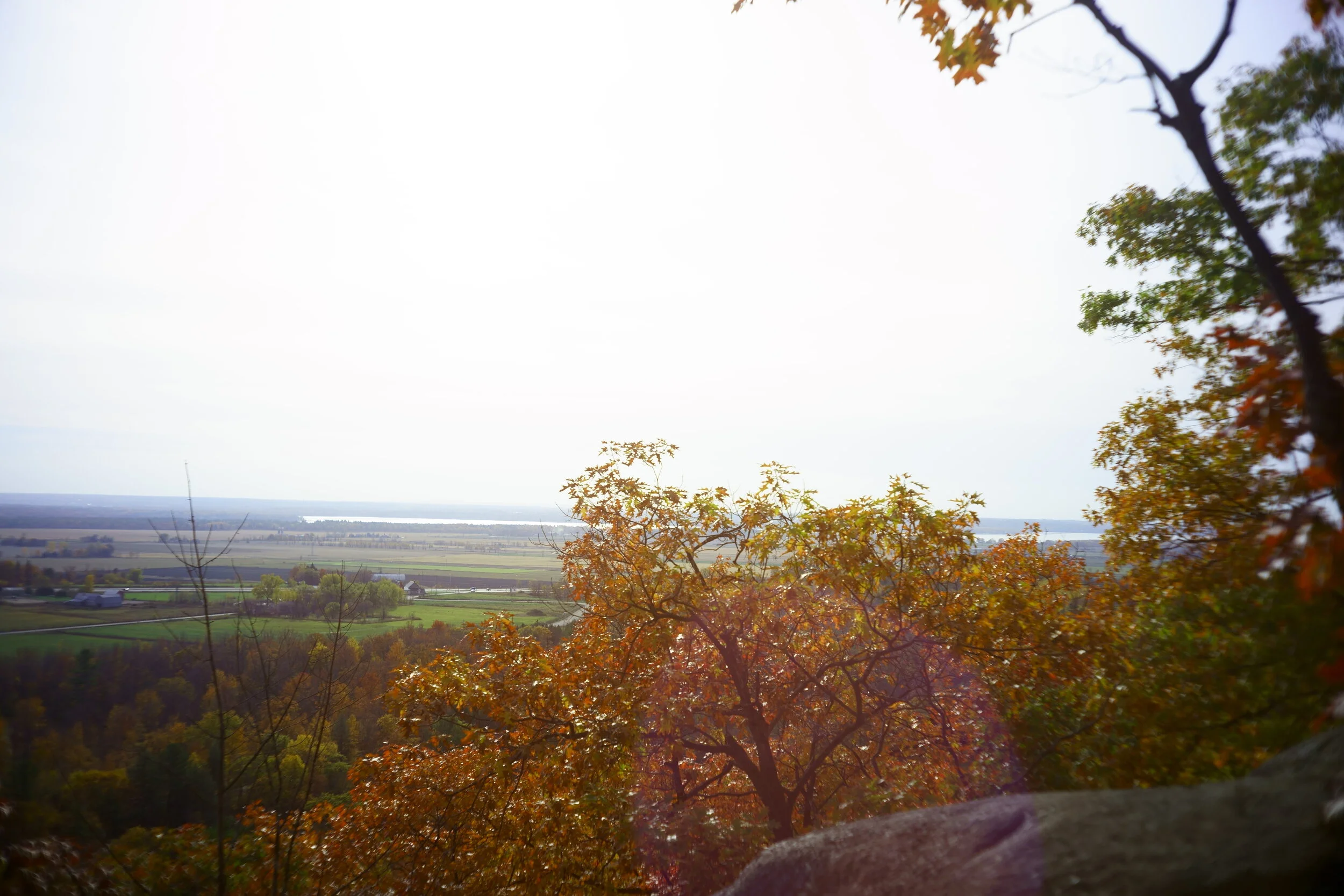 KAI09889 edited 2.JPG