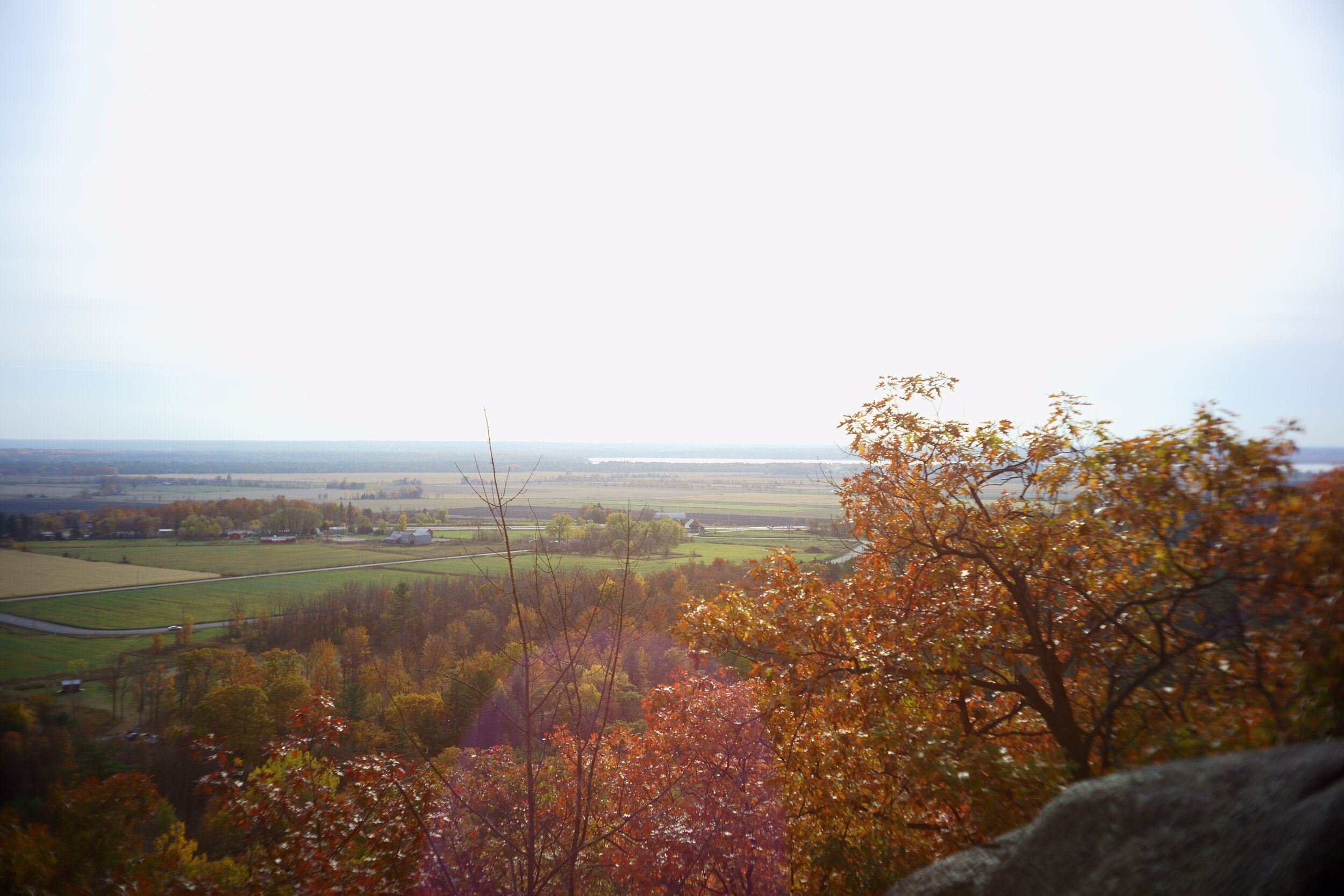 KAI09892 edited 2.JPG