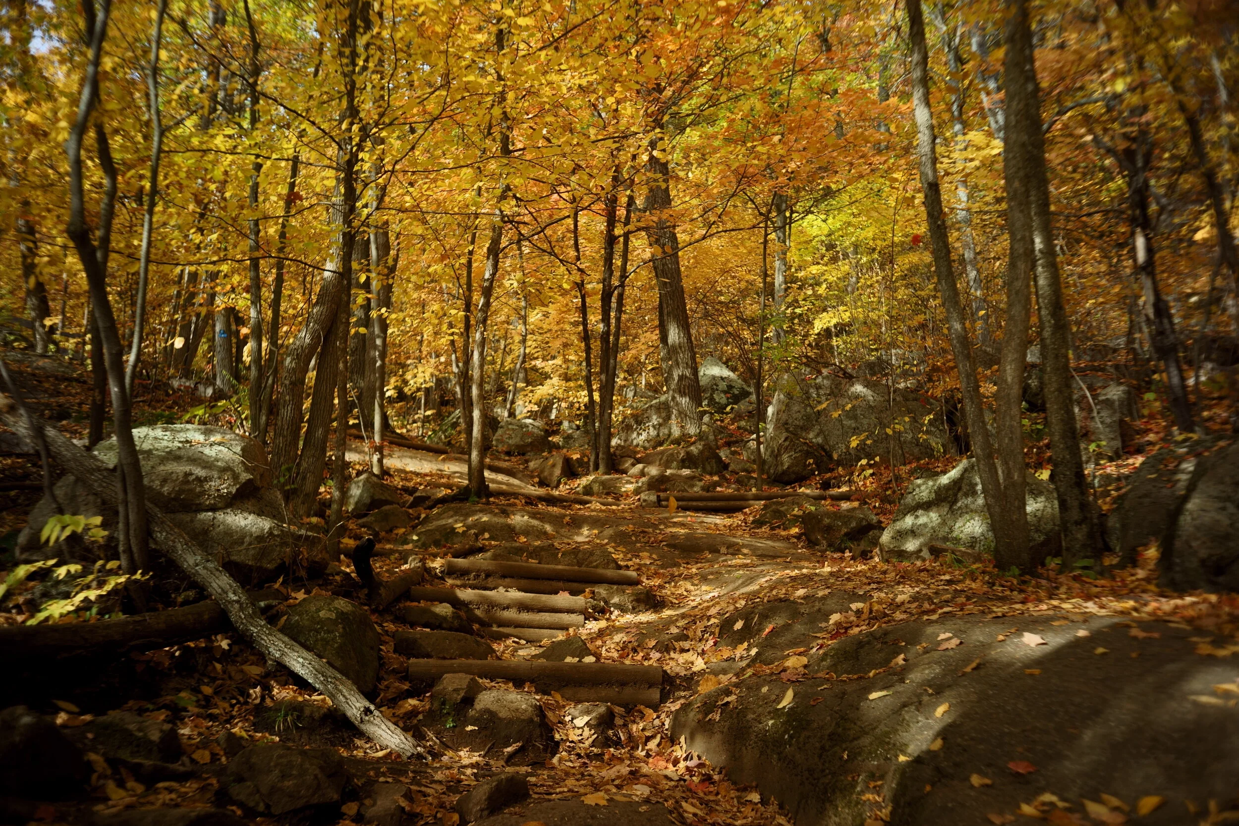 KAI09918 edited 3.JPG