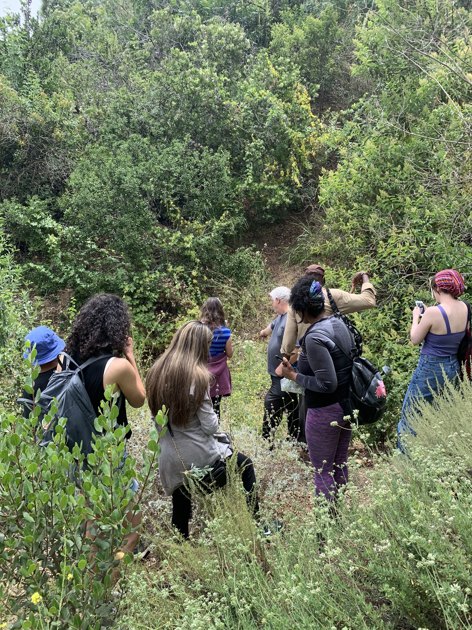 William Broen’s Herbal Education 