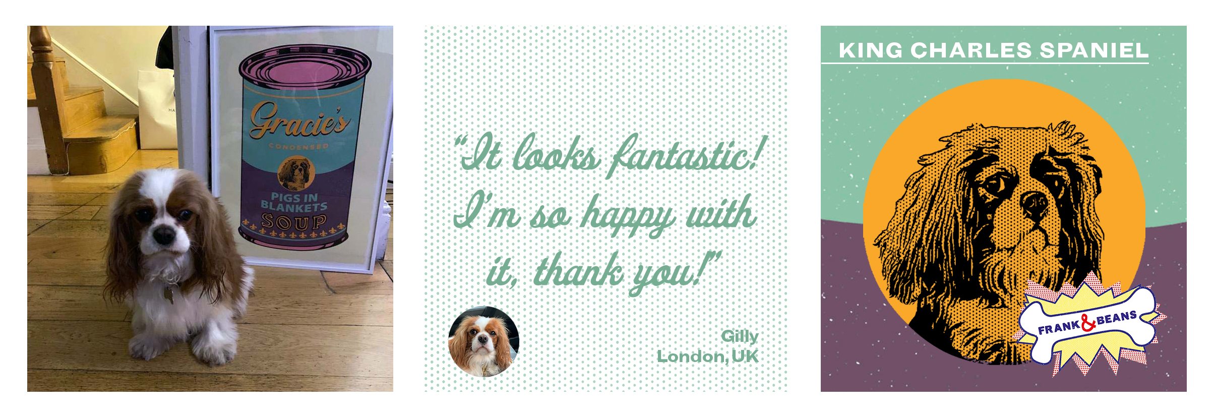 Testimonial Banner King Charles Spaniel.jpg