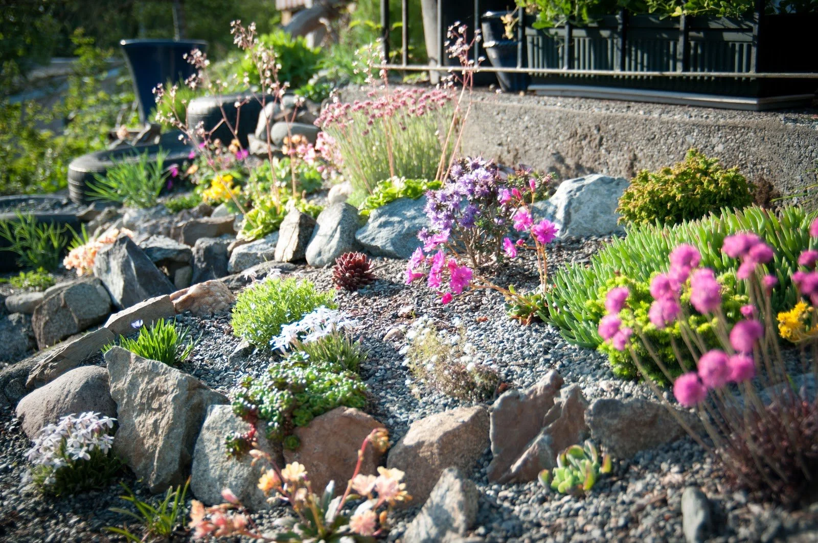 What is xeriscape? And how it might benefit you?