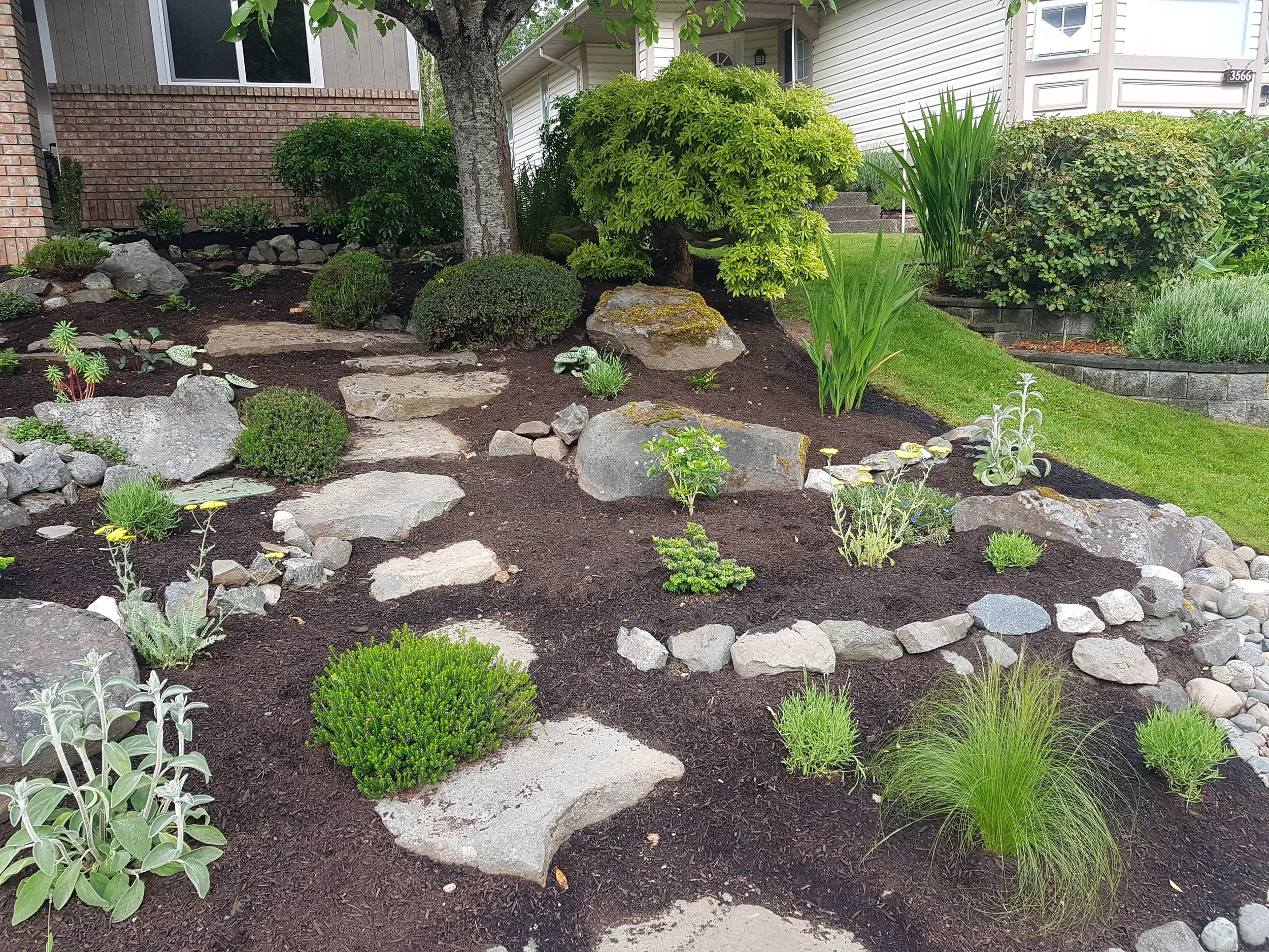 Winter yard prep and where to start