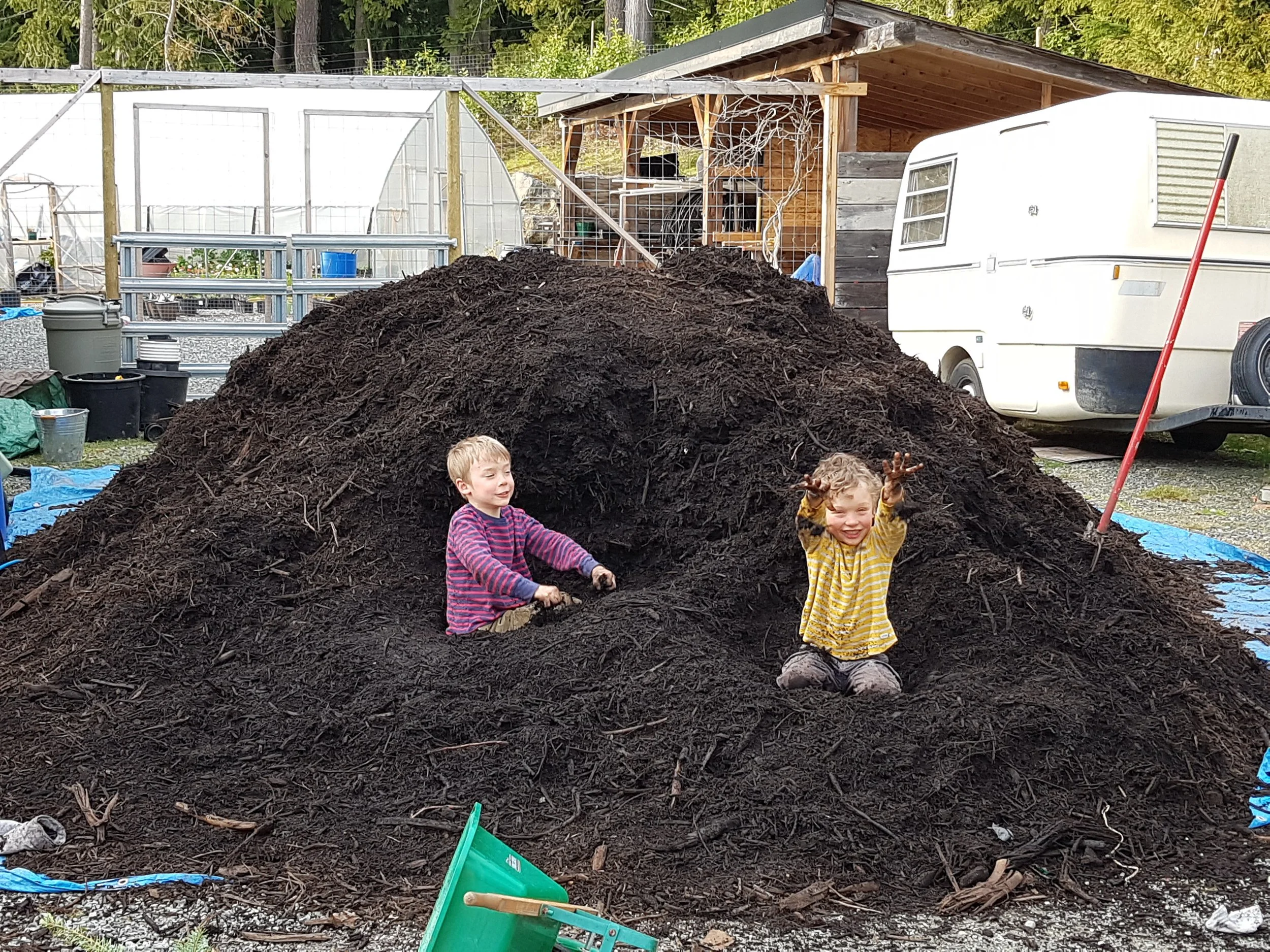 Why Compost is Beneficial to Your Garden