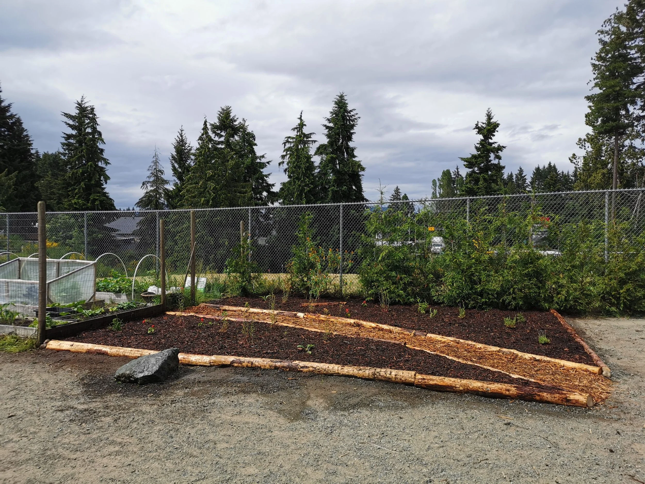 Why Garden Programs in Schools are Important