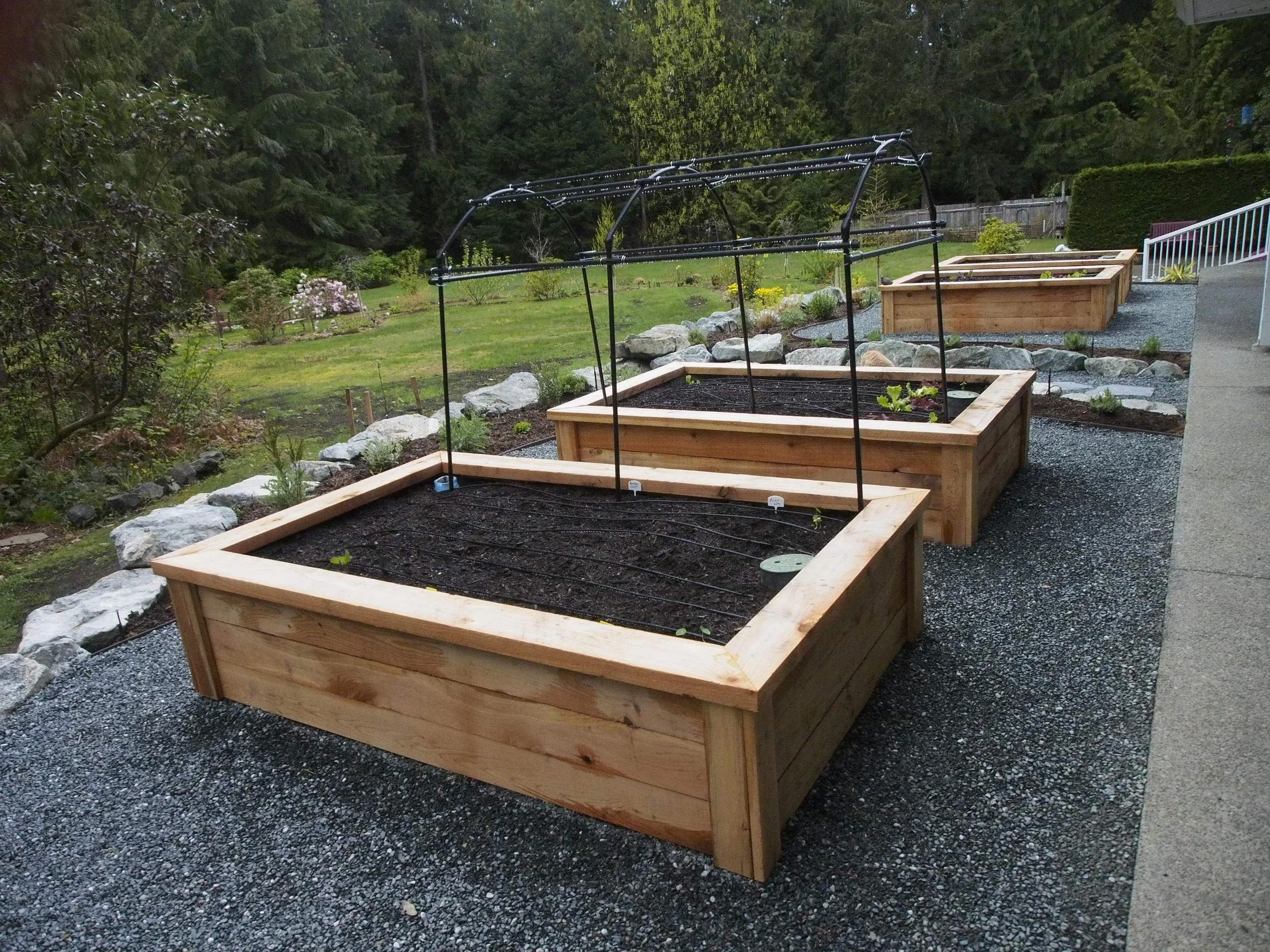 Grow Food, Not Lawns