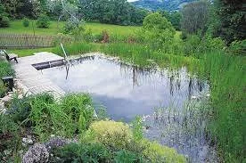Natural Swimming Pools