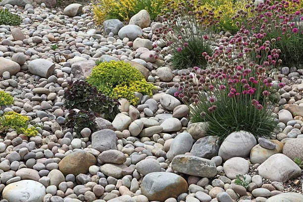 Rock Gardens