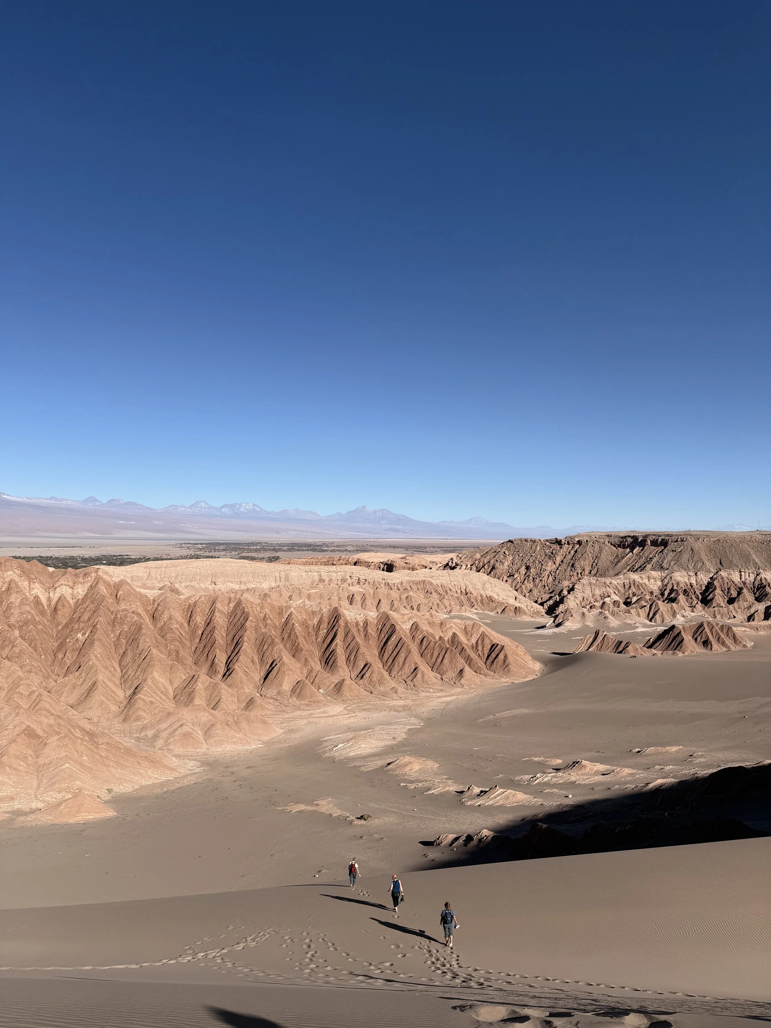 Martian Landscape everywhere!