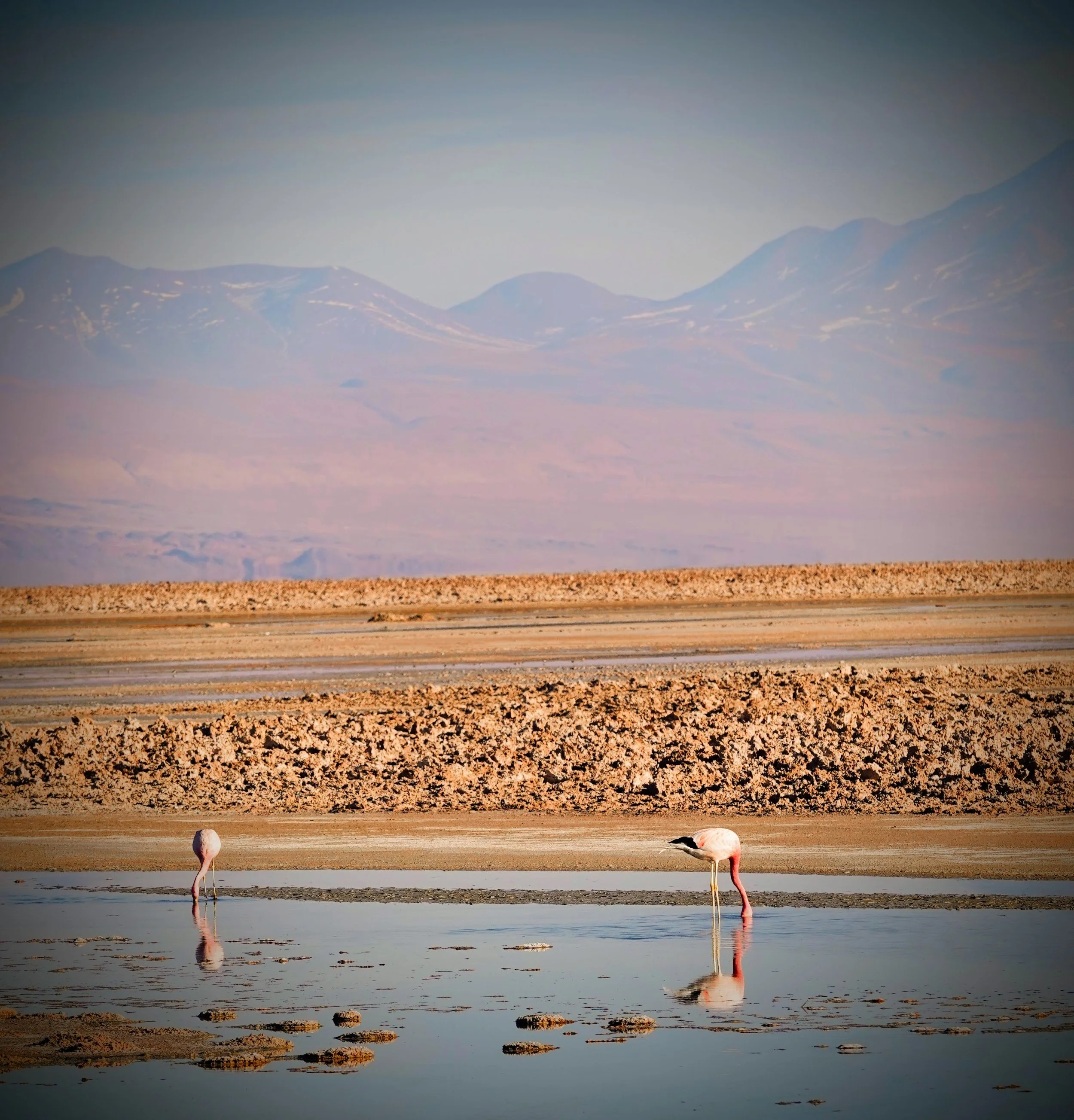 DSC03551-EDIT.jpg