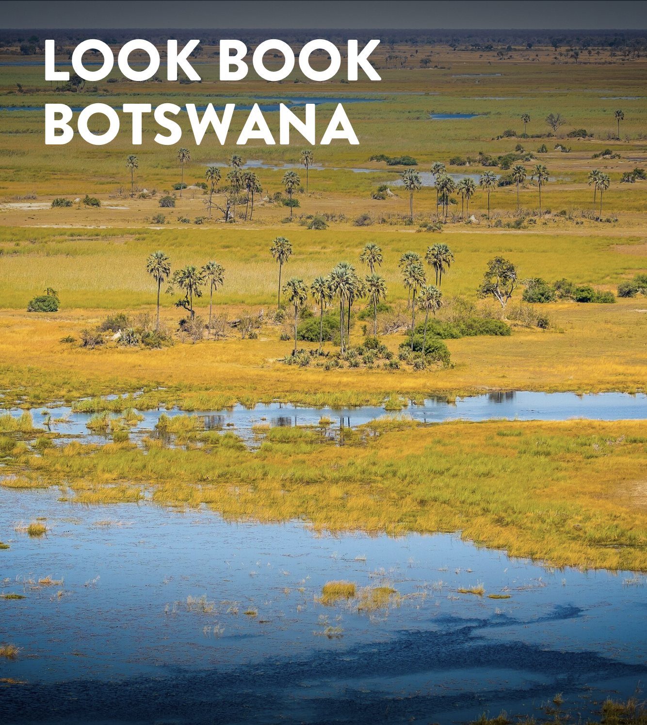 Screenshot 2026-04-16 at 4.31.16 PM.png