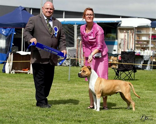 Gore & Districts Kennel Assn