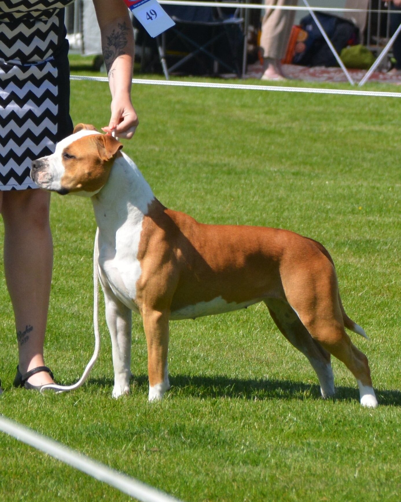 Zaliamstaff 2020 Results