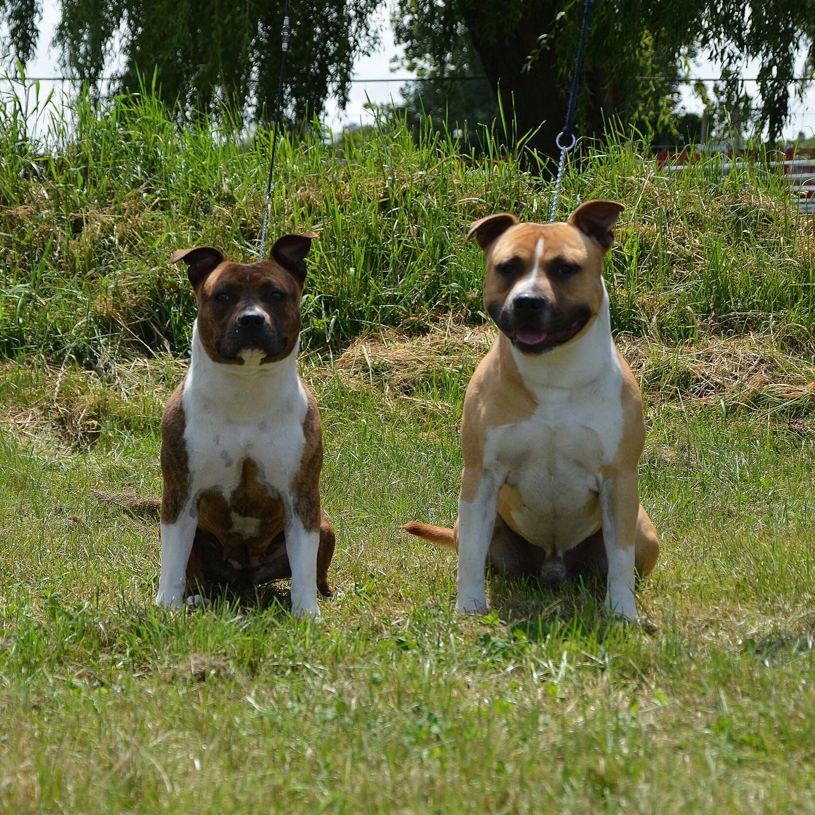 The Ten Commandments of Am Staff Training