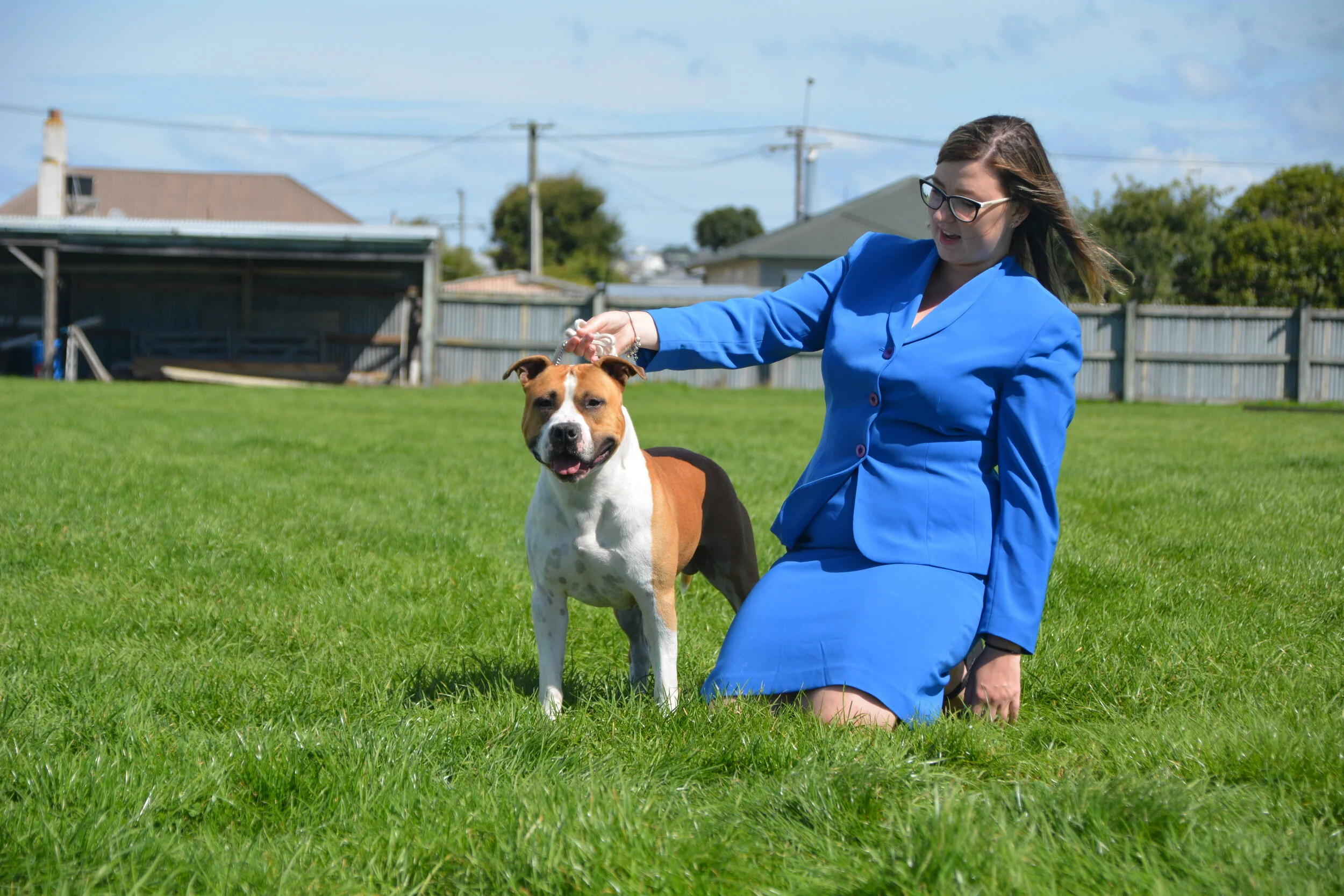 Am Staff Pedigree: Understanding 'Like-to-Like' Breeding