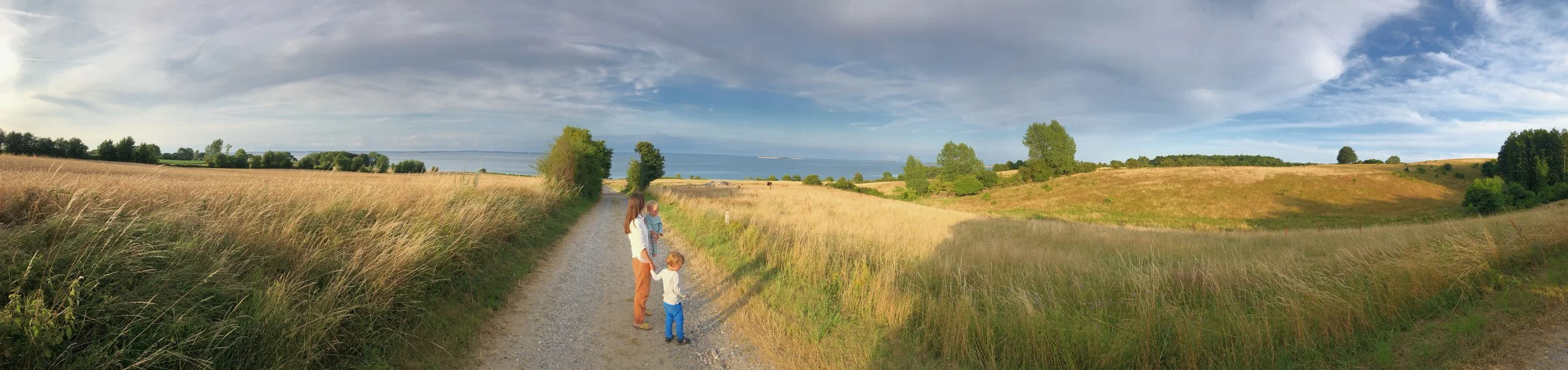 Holistisk tilgang til fertilitet søges!