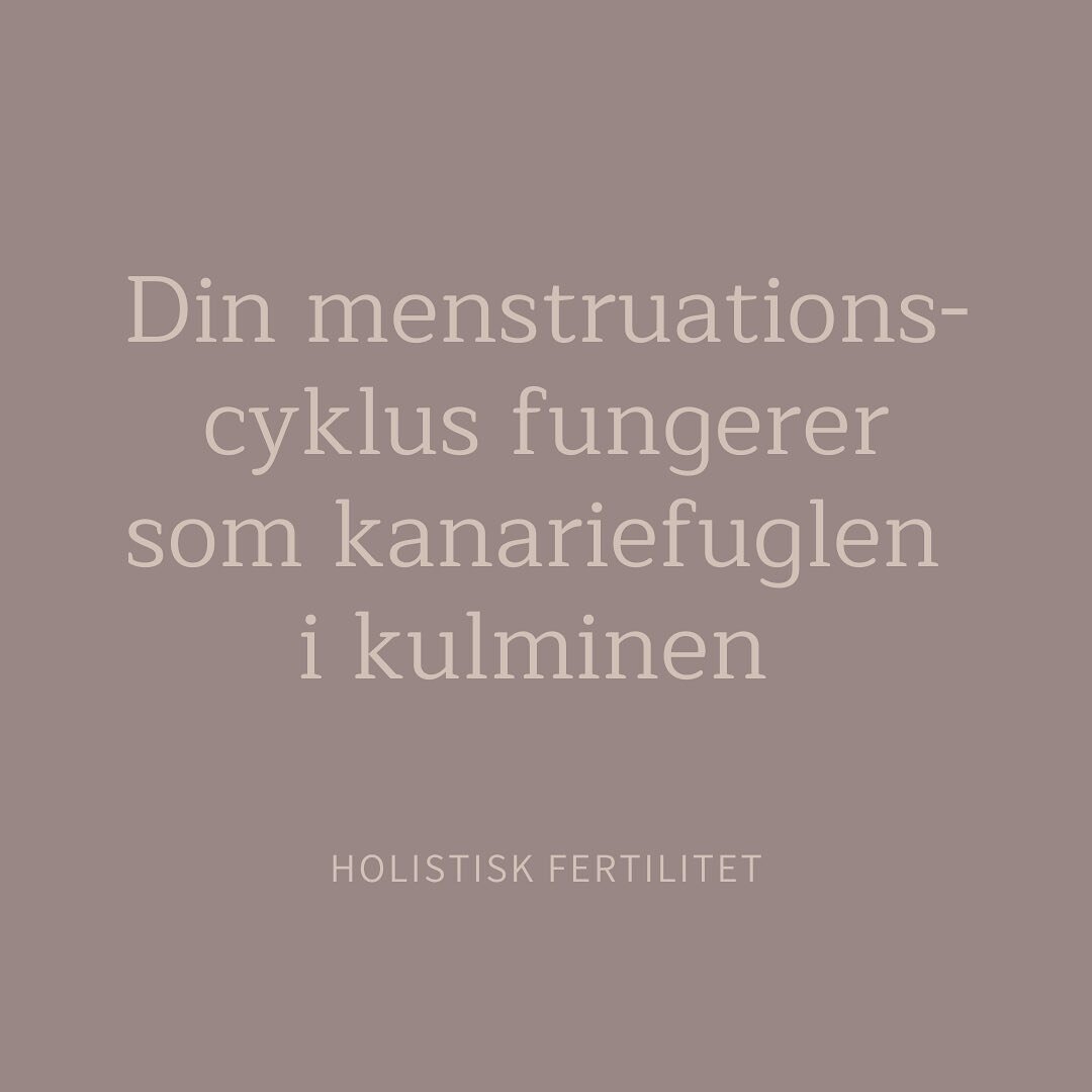 Din menstruationscyklus er en uvurderlig budbringer om, hvordan det st&aring;r til med dit helbred. 

Hvis du oplever symptomer s&aring;som: 

🩸Menstruationssmerter
🩸Kraftige bl&oslash;dninger
🩸Langvarige bl&oslash;dninger
🩸Udeblevne menstruation