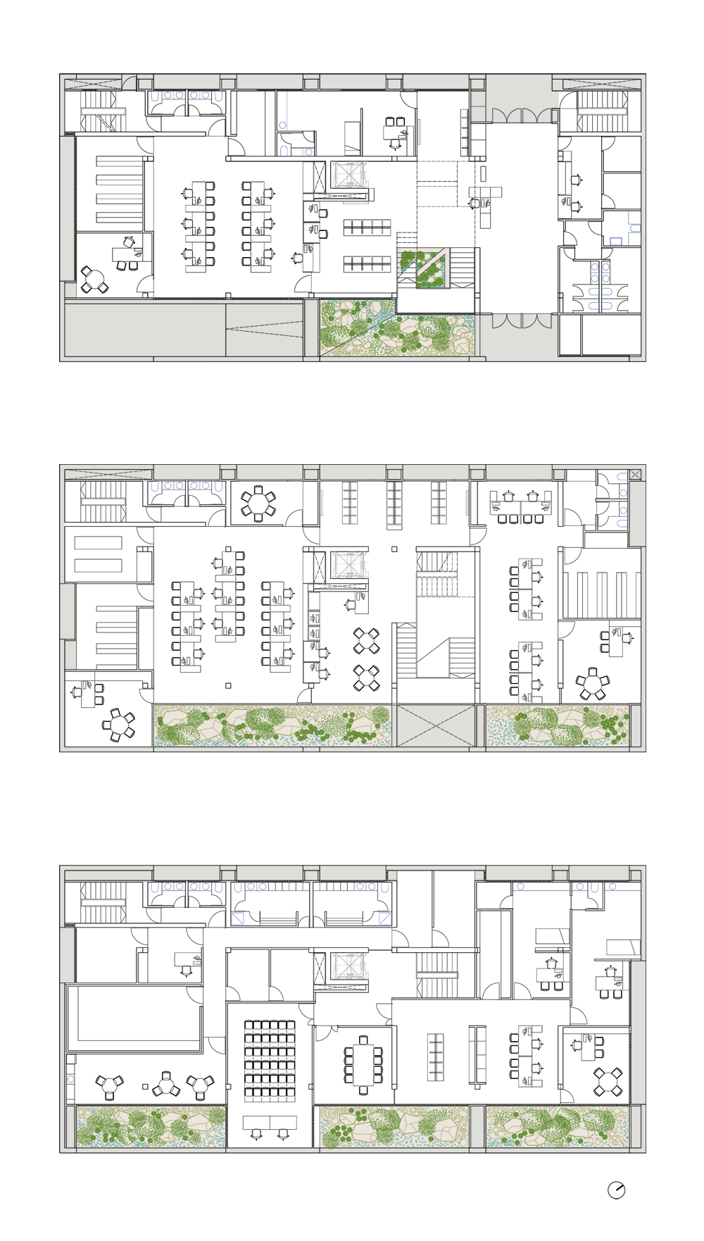 SSFTV-PLANTAS-BORDES.png