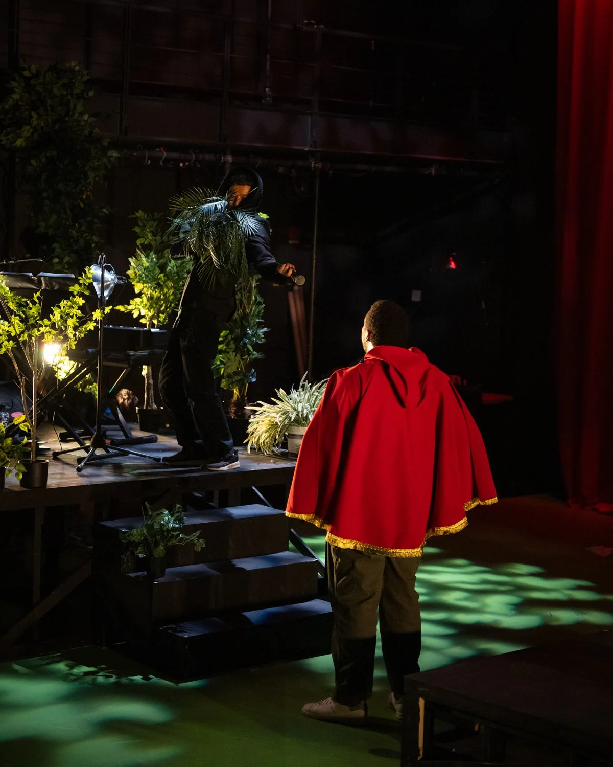 Into The Woods 184.JPEG