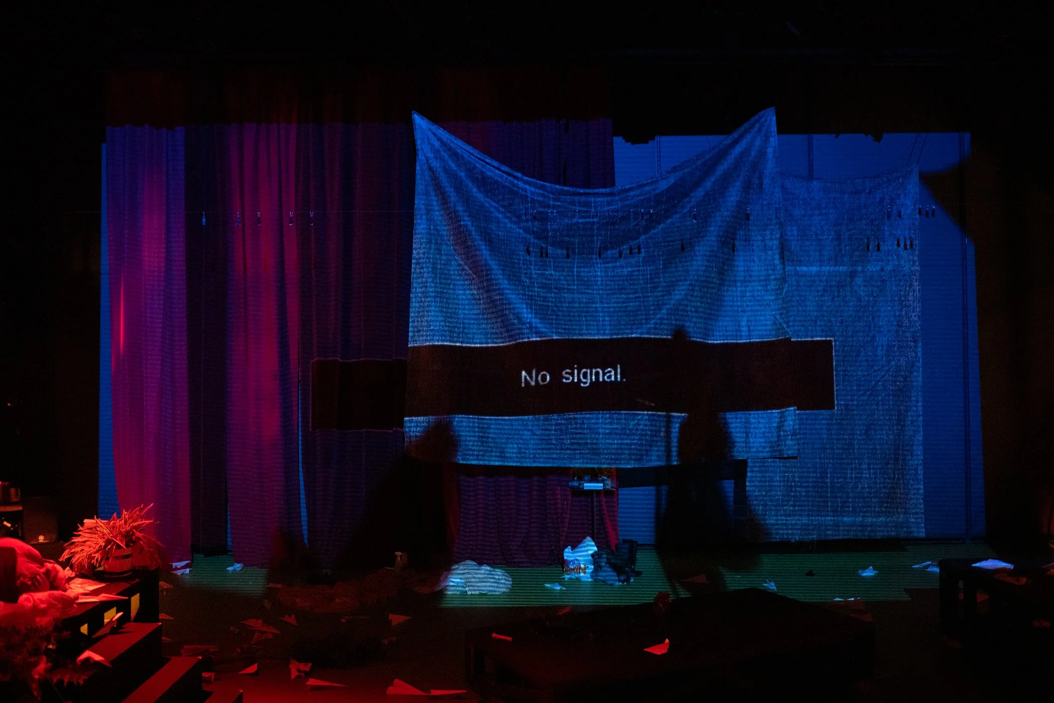 Into The Woods 333.JPEG