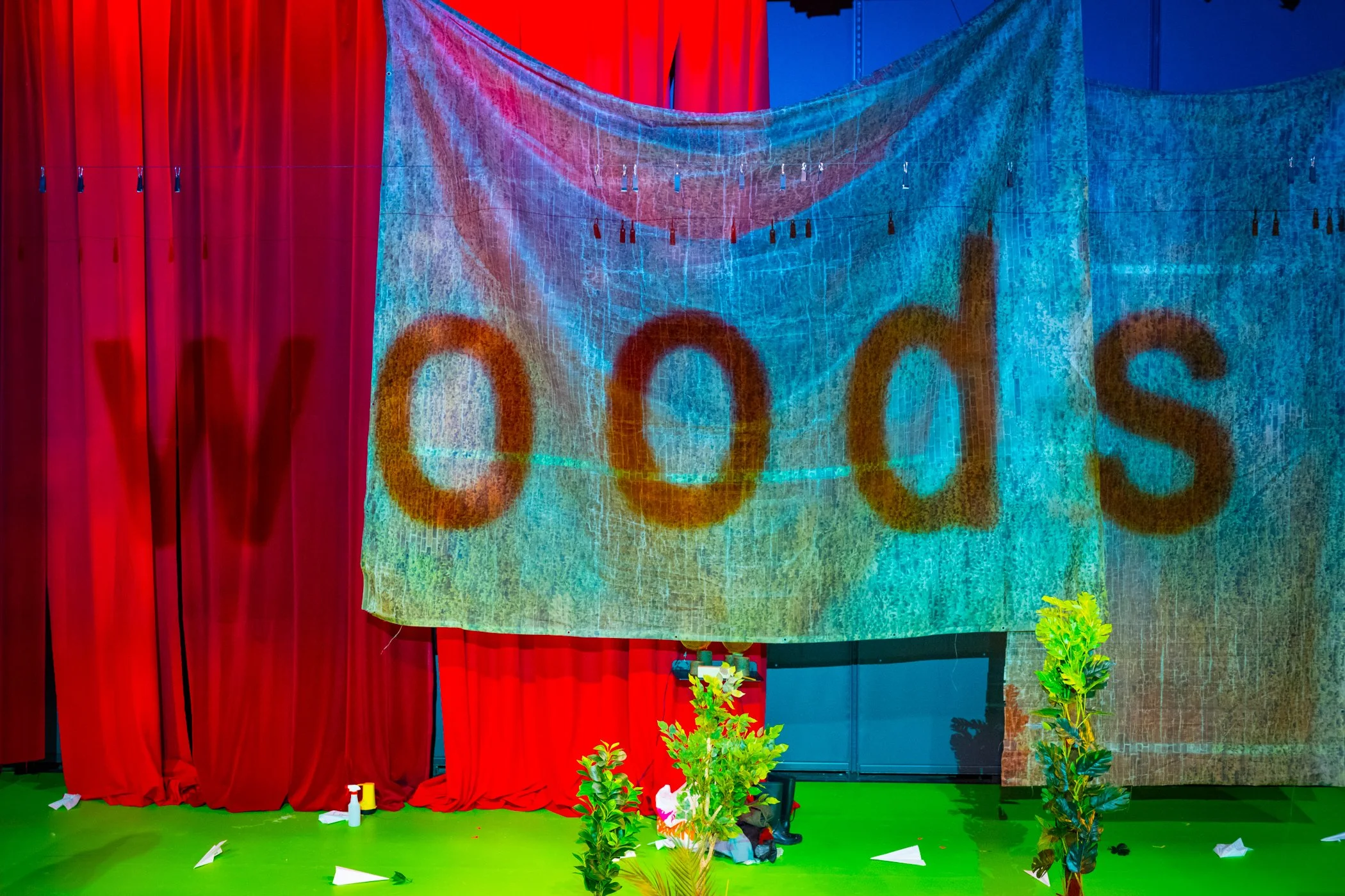 Into The Woods 349.jpg