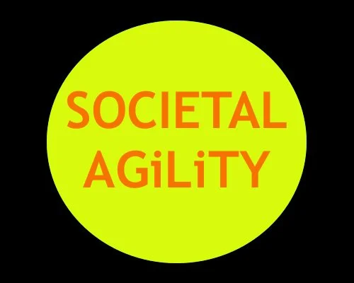 What Societal Agility Looks Like: From Cultural Shifts to Grassroots Practice