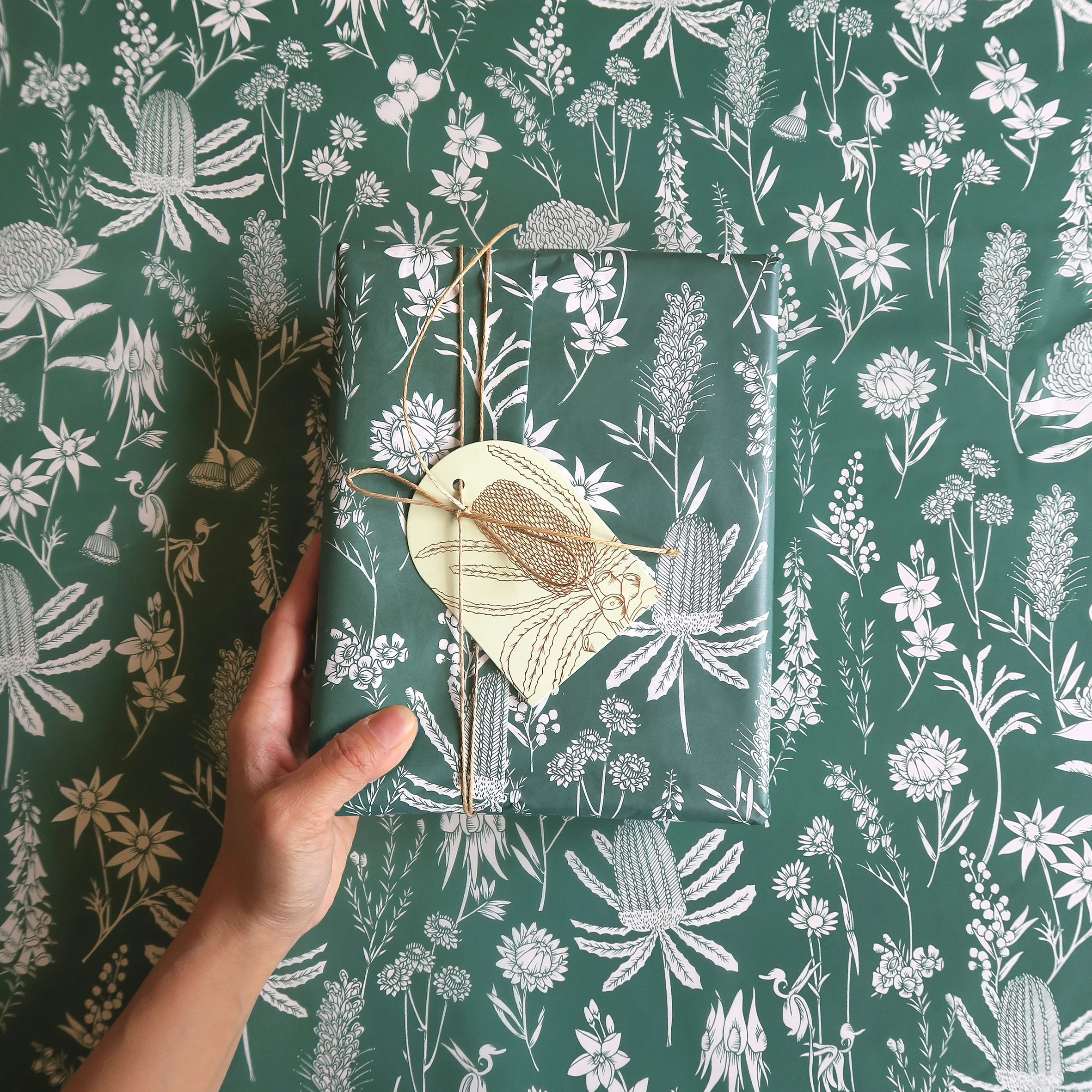 T2638_Forest_green_waratah4b.jpg