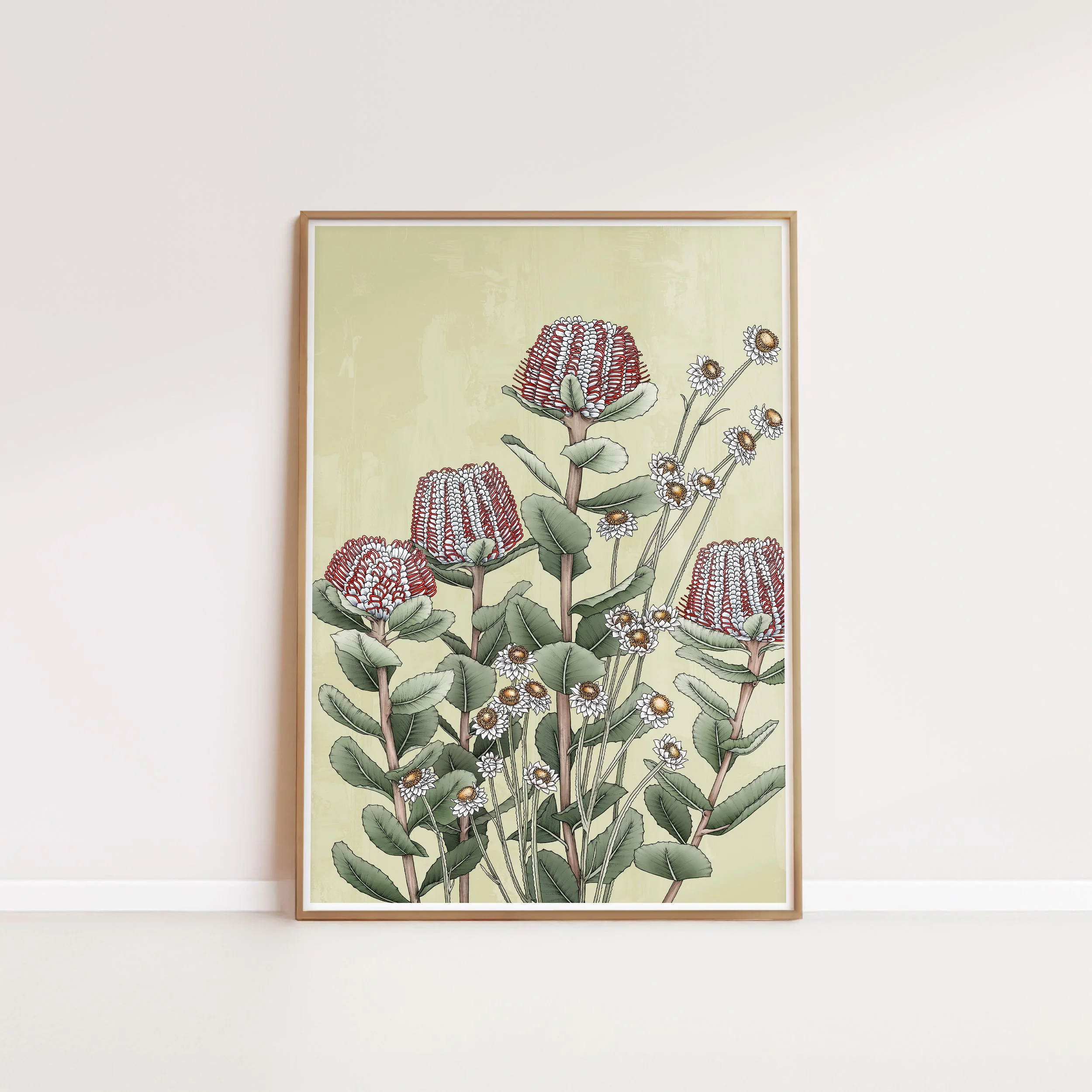 T2670_scarlet_banksia.jpg